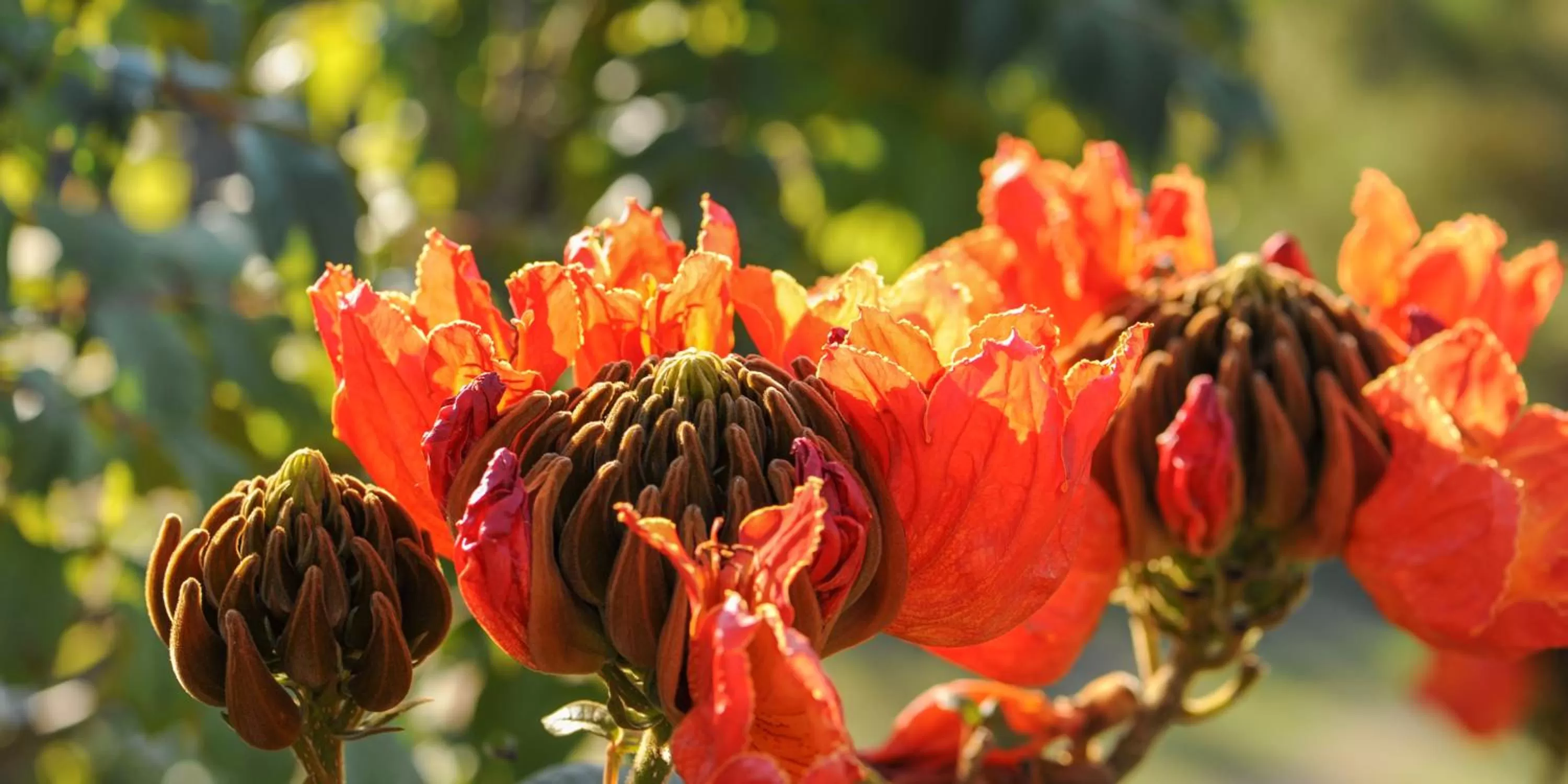 Other, Food in Felissimo Exclusive Hotel