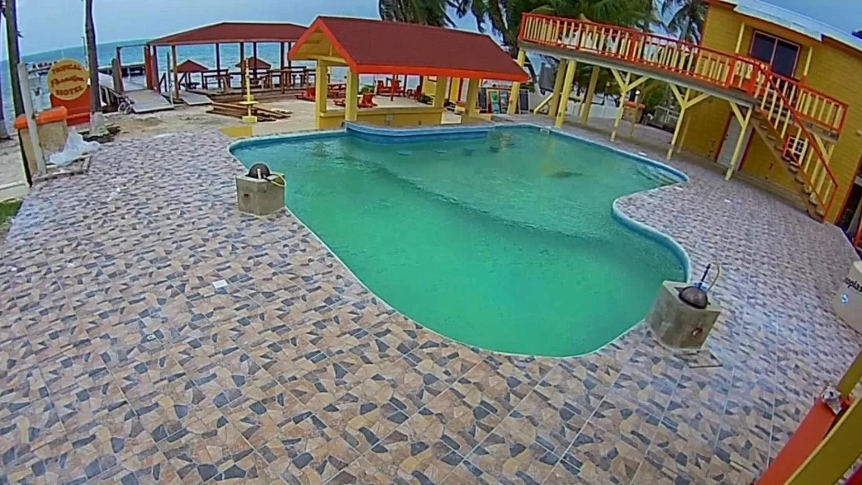 Swimming Pool in Tropical Paradise Express