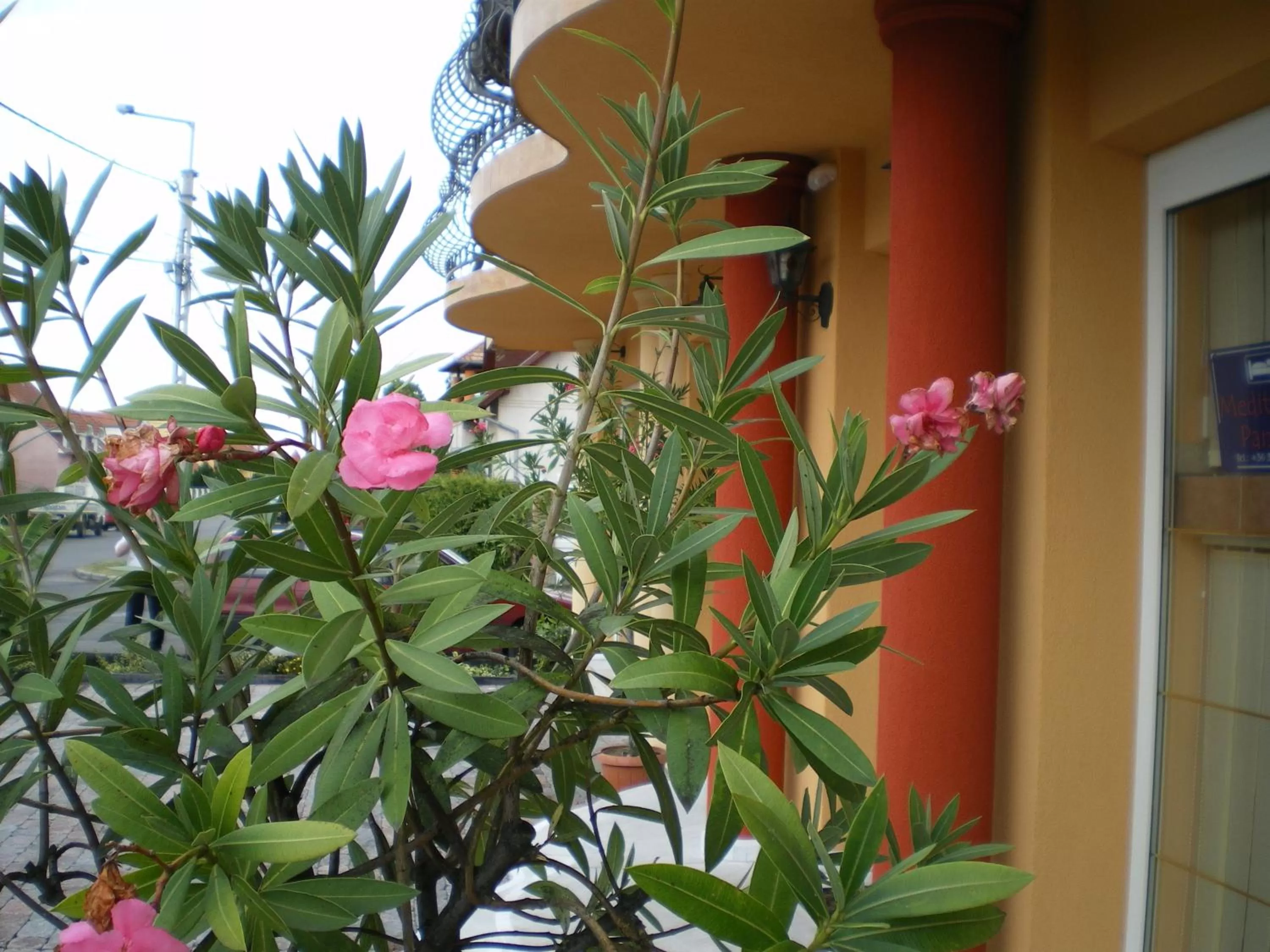 Facade/entrance in Mediterrán Panzió