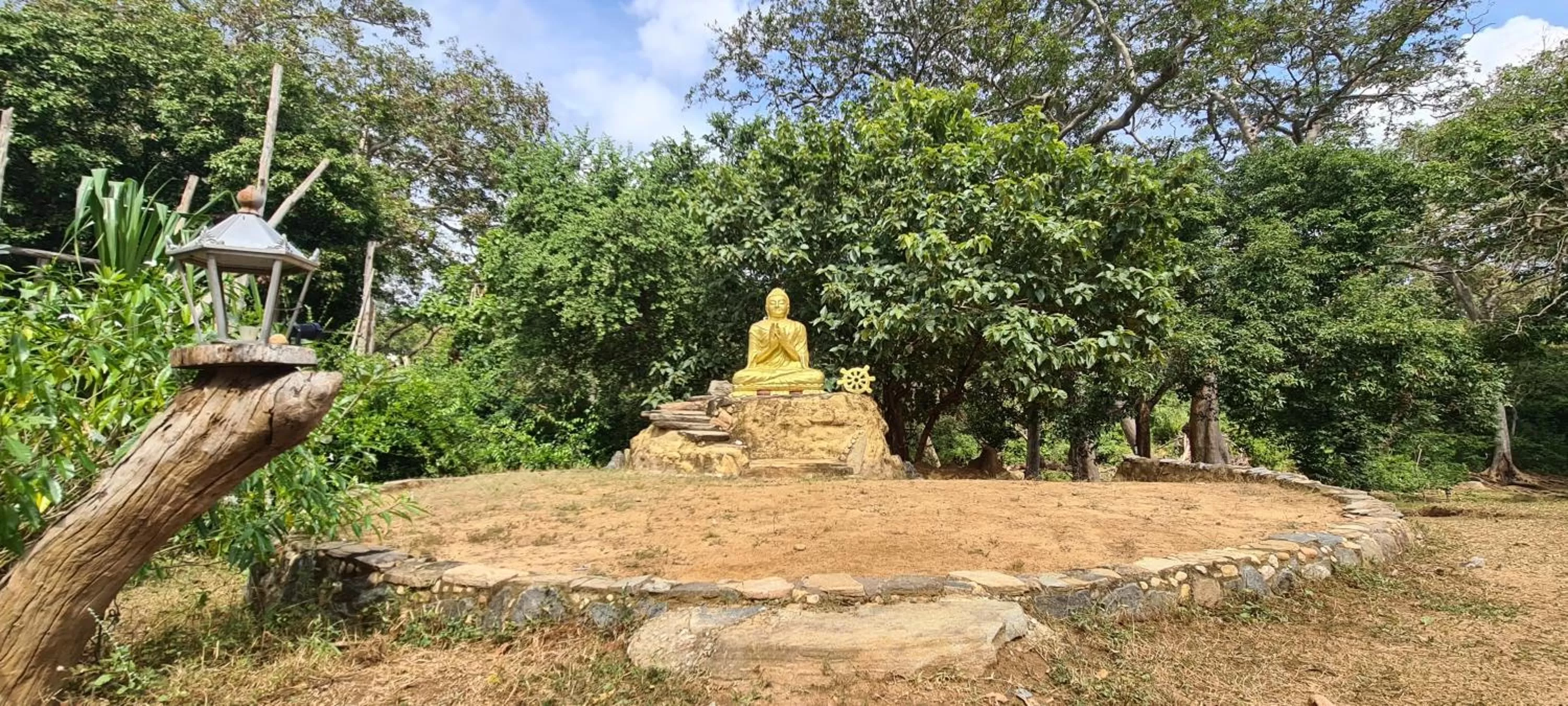 Jungle river humbhaha hostel