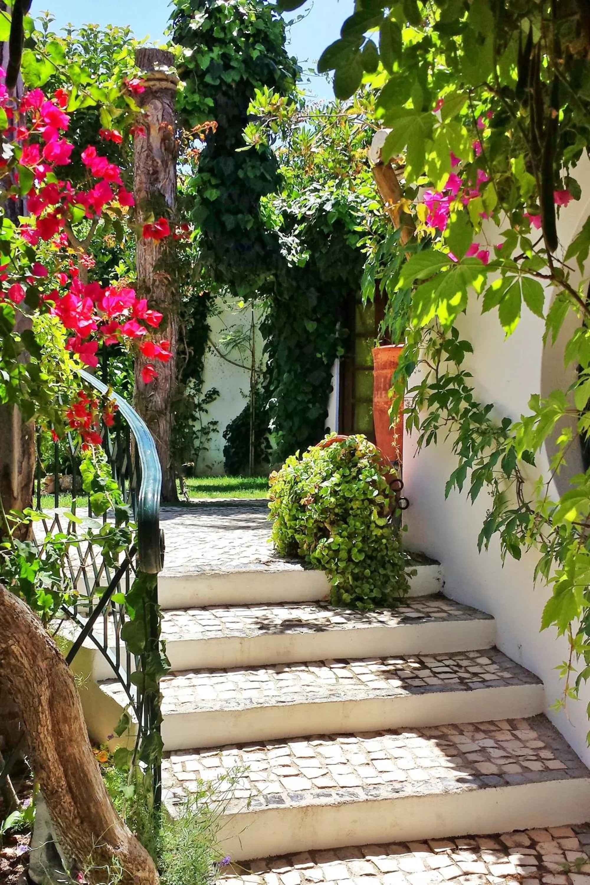 Garden in Uma Casa a Beira Sol