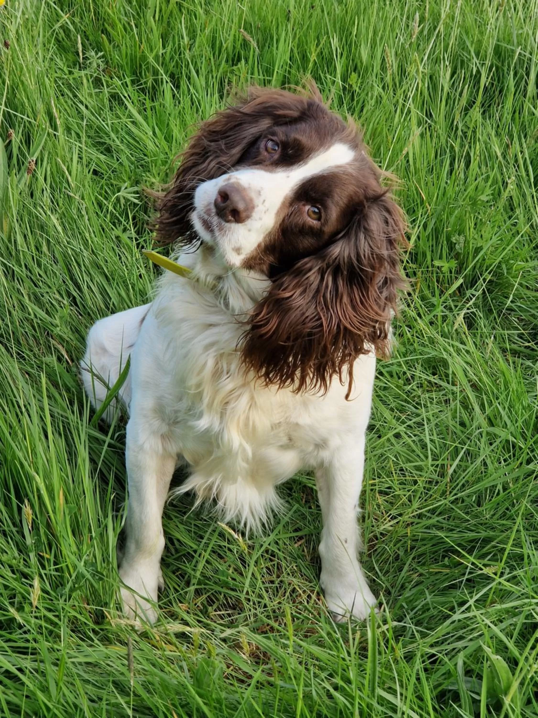 Cable Island Bed and Breakfast