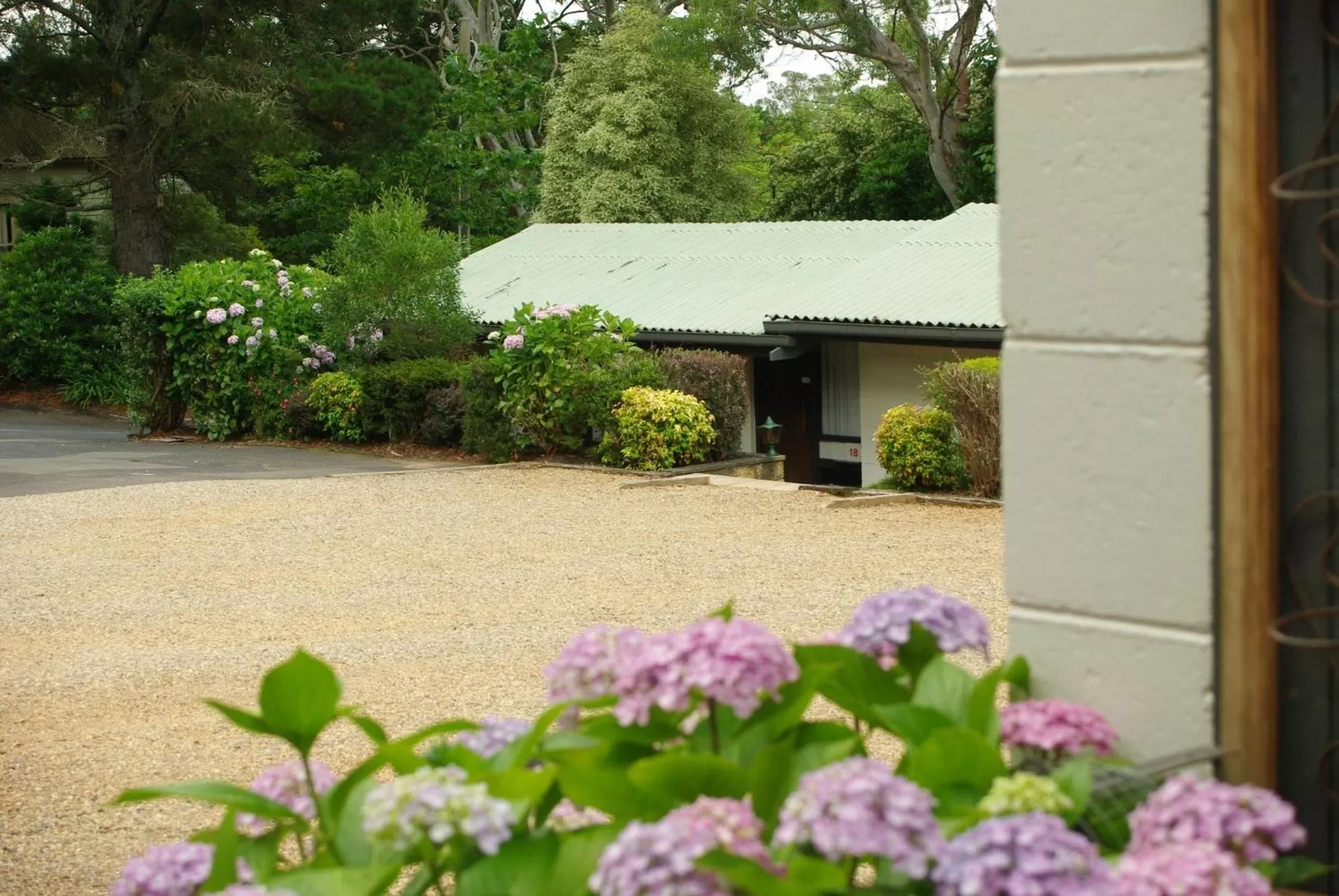 Day in Blackheath Motor Inn