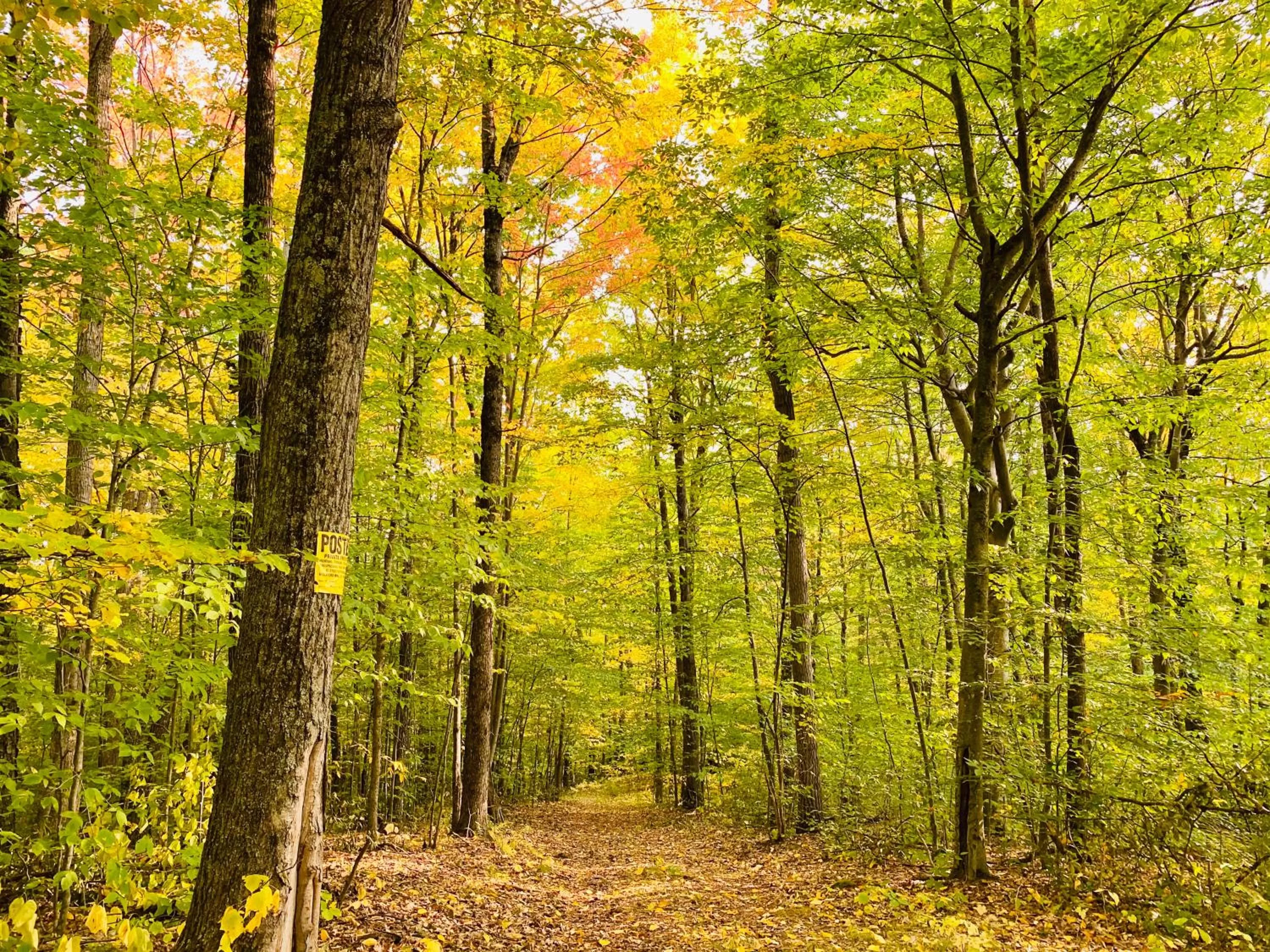 Arcady Mountain Motor Lodge