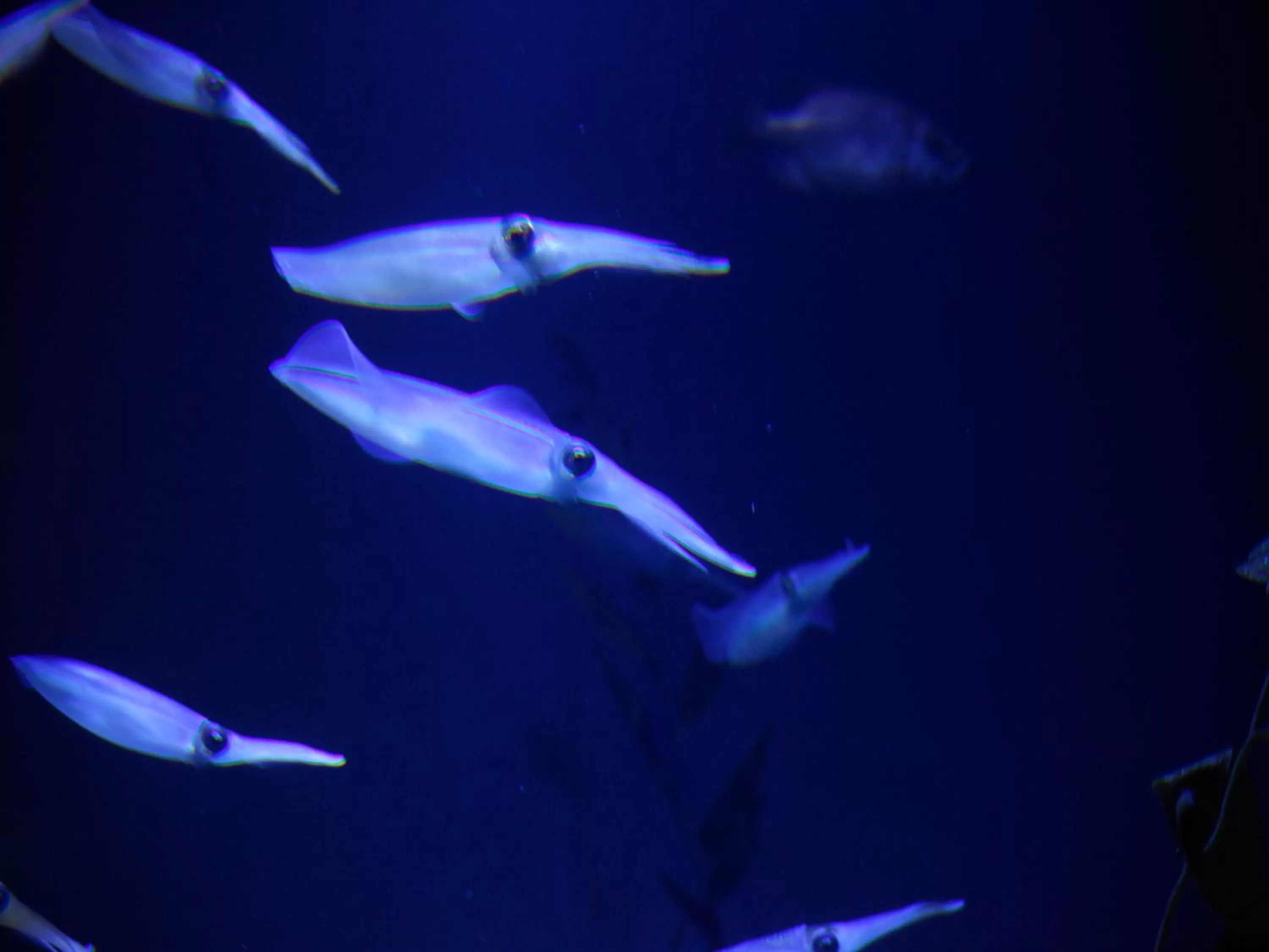 Nearby landmark in Hotel Wing International Select Osaka Umeda