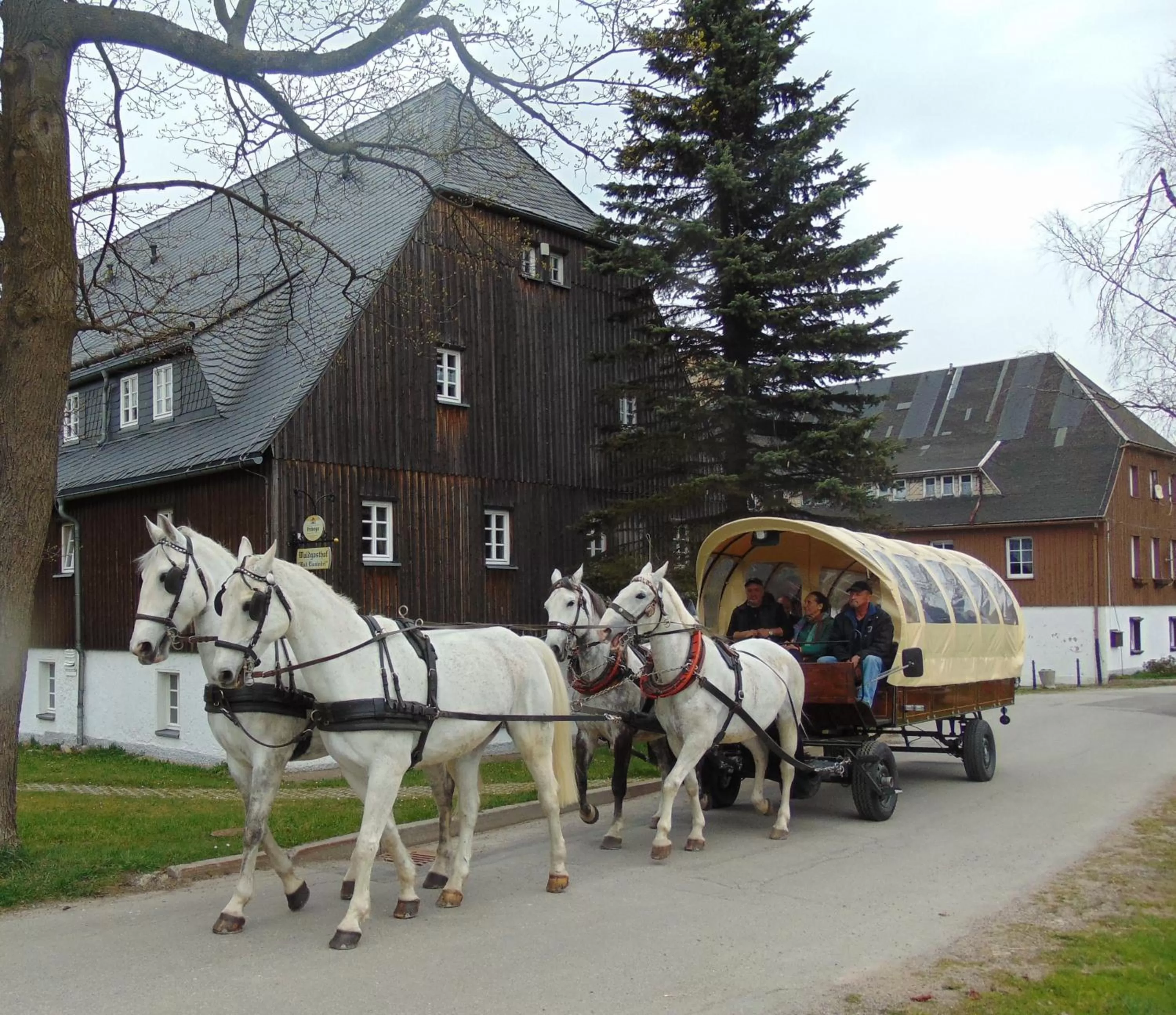 Entertainment, Other Animals in Waldgasthof Bad Einsiedel