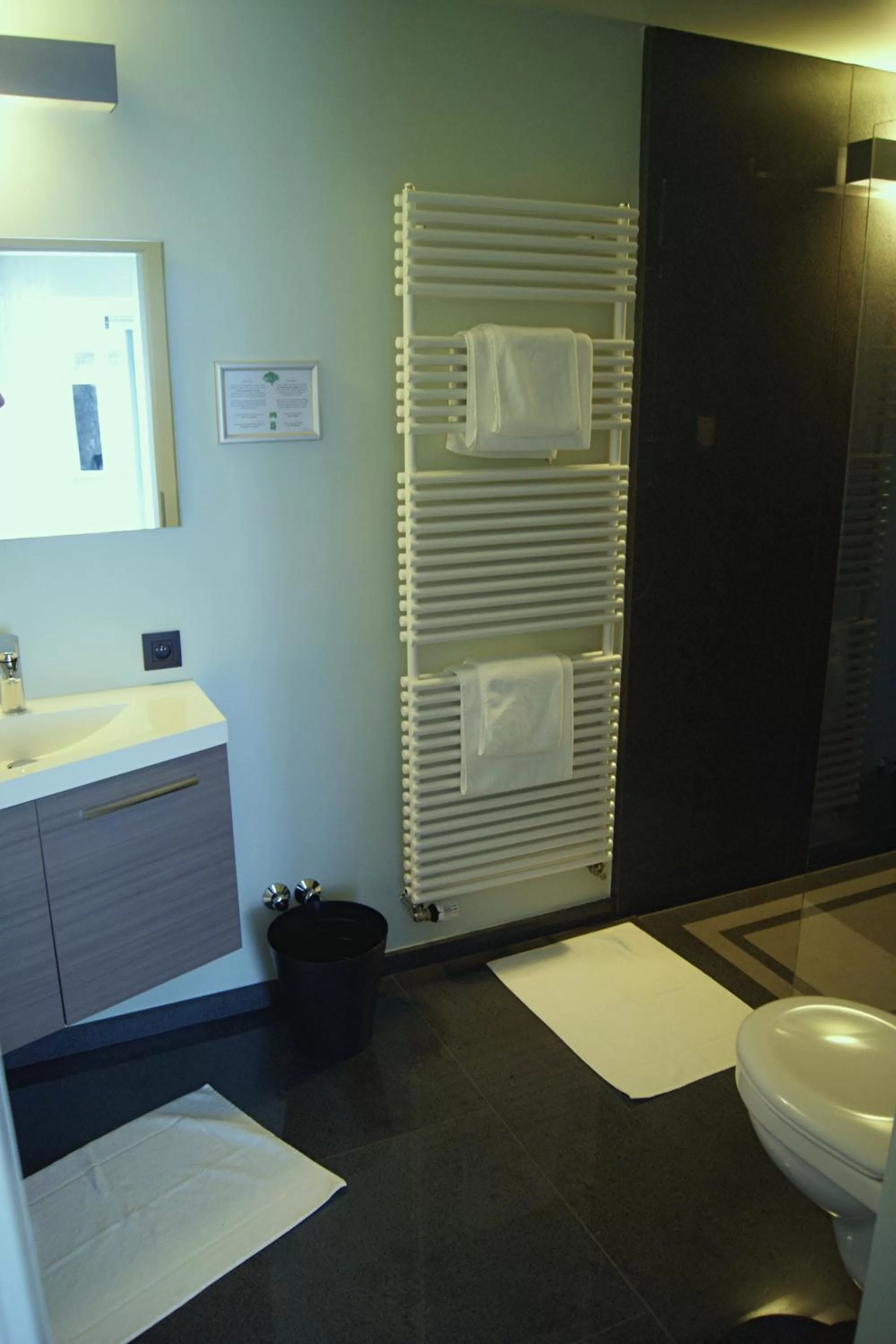 Bathroom in Hotel Restaurant Tychon AG