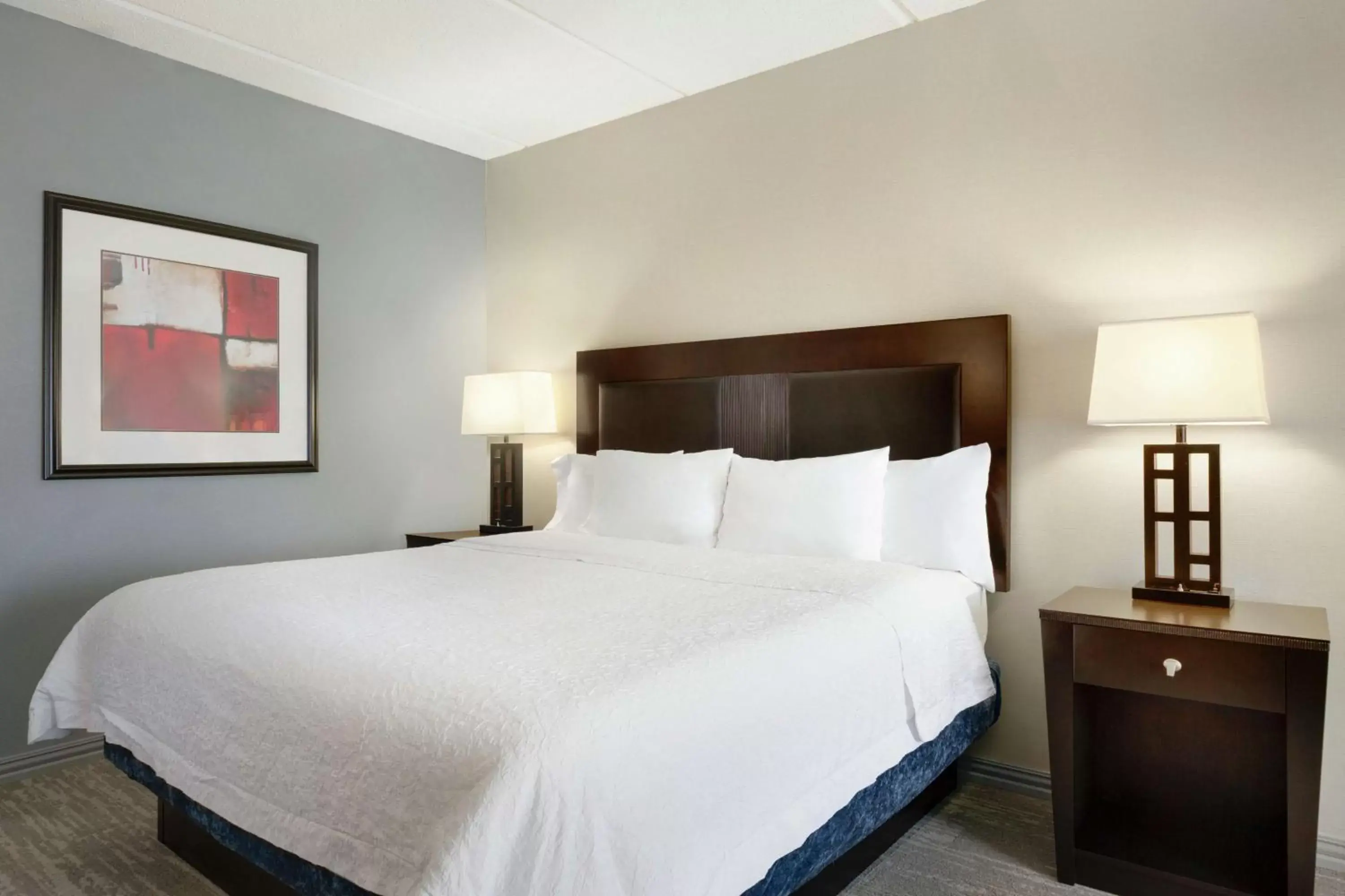 King Room with King Bed - Non-Smoking in Hampton Inn and Suites Houston Clear Lake NASA King Room with King Bed - Non-Smoking in Hampton Inn and Suites Houston Clear Lake NASA