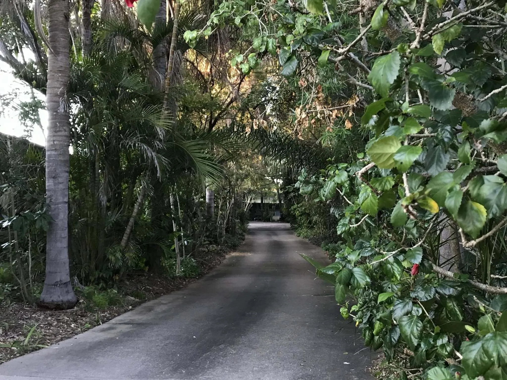 Emeraldene Inn & Eco-Lodge