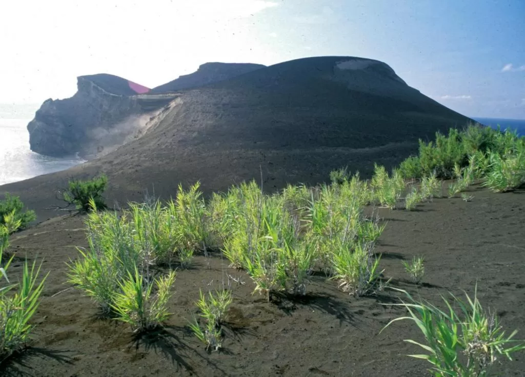 Faial Marina Apartments 1