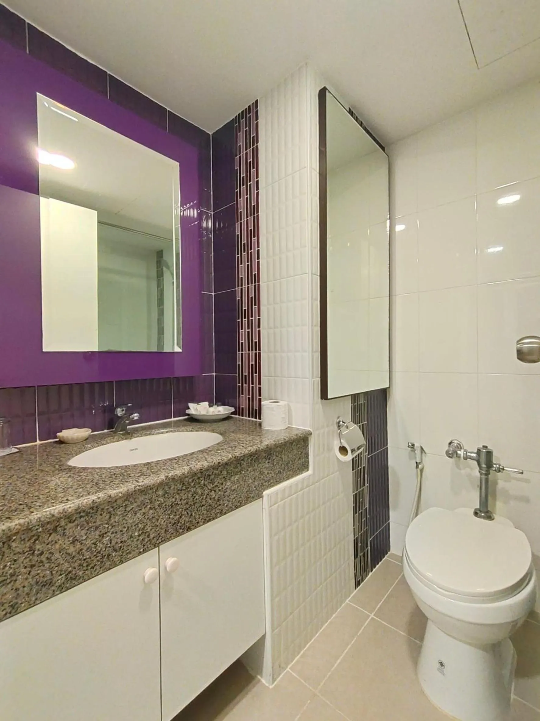 Ebina House - SHA Extra Plus