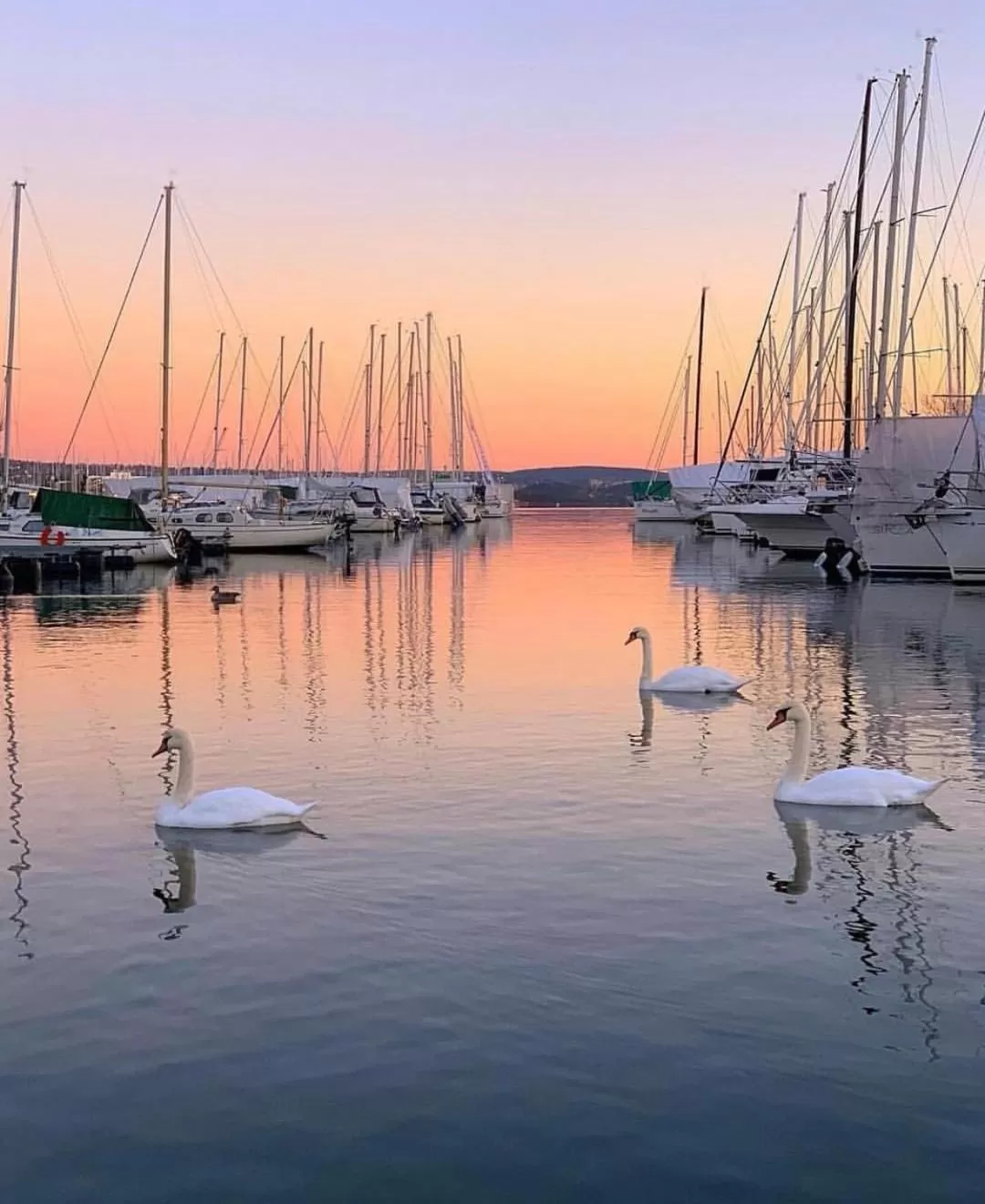 Nearby landmark in First Hotel Millennium