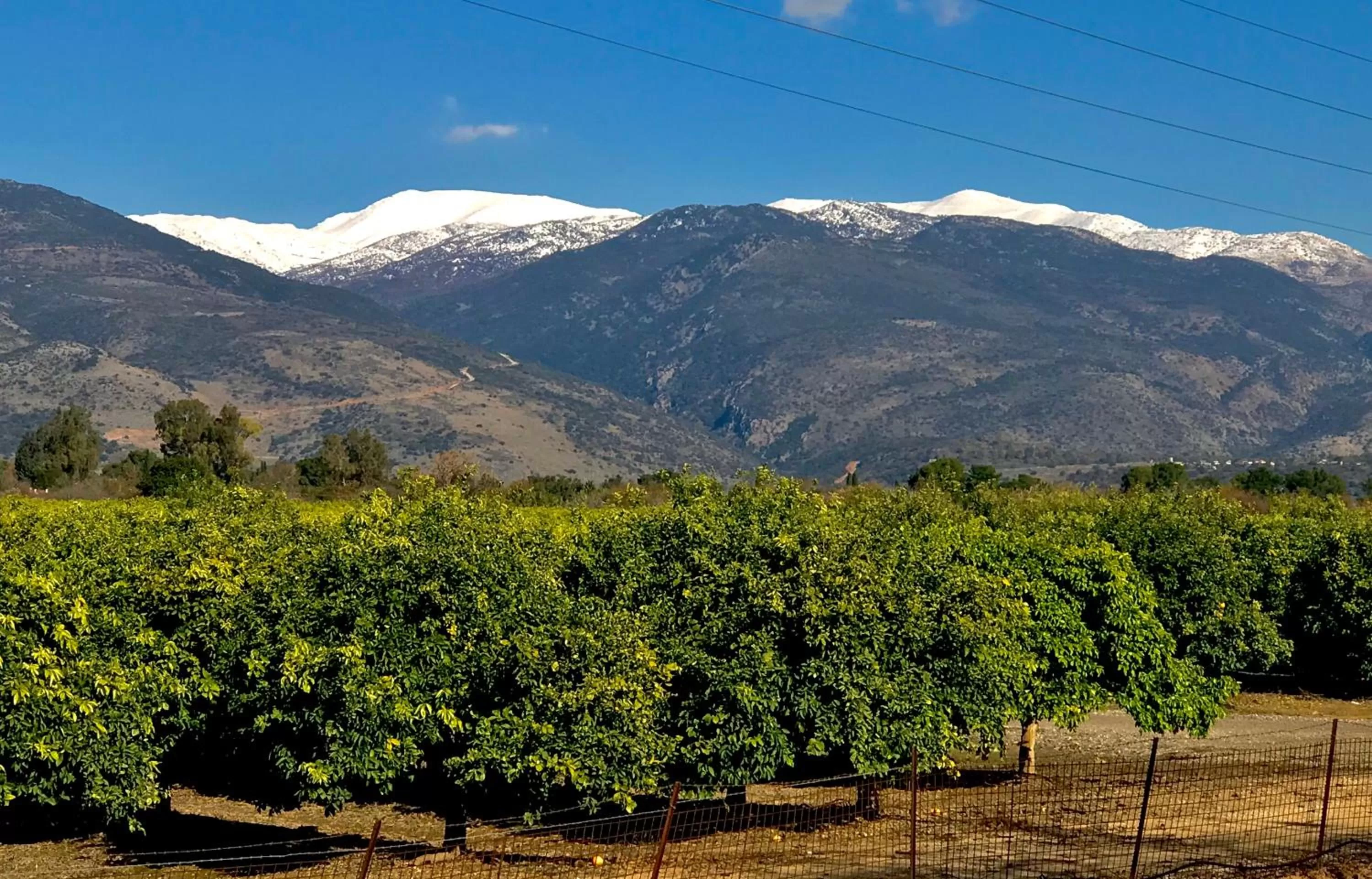 Natural landscape in Magical in the Galilee