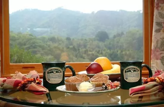 Mountain View in Berry Springs Lodge