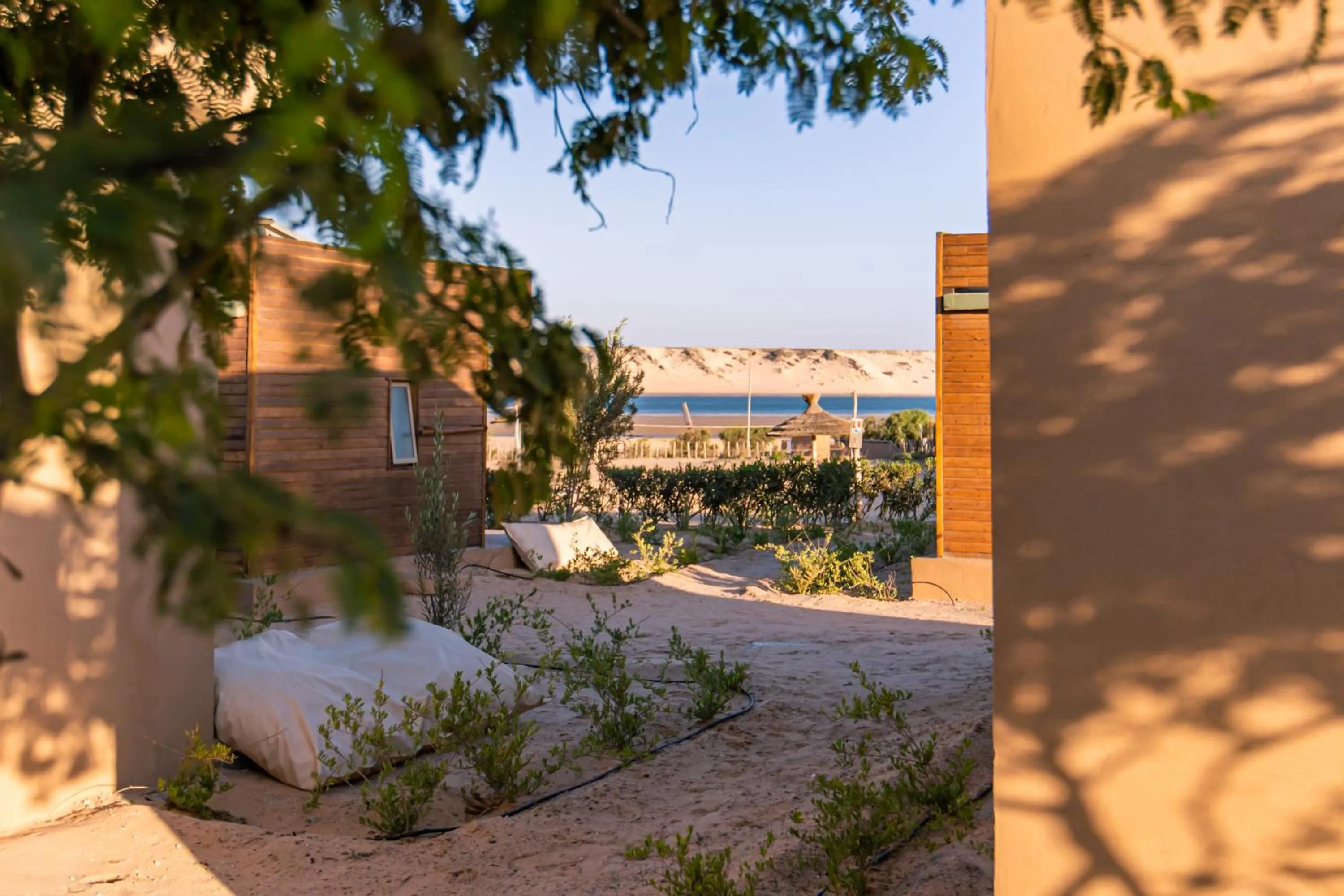 Garden in Dakhla Camp