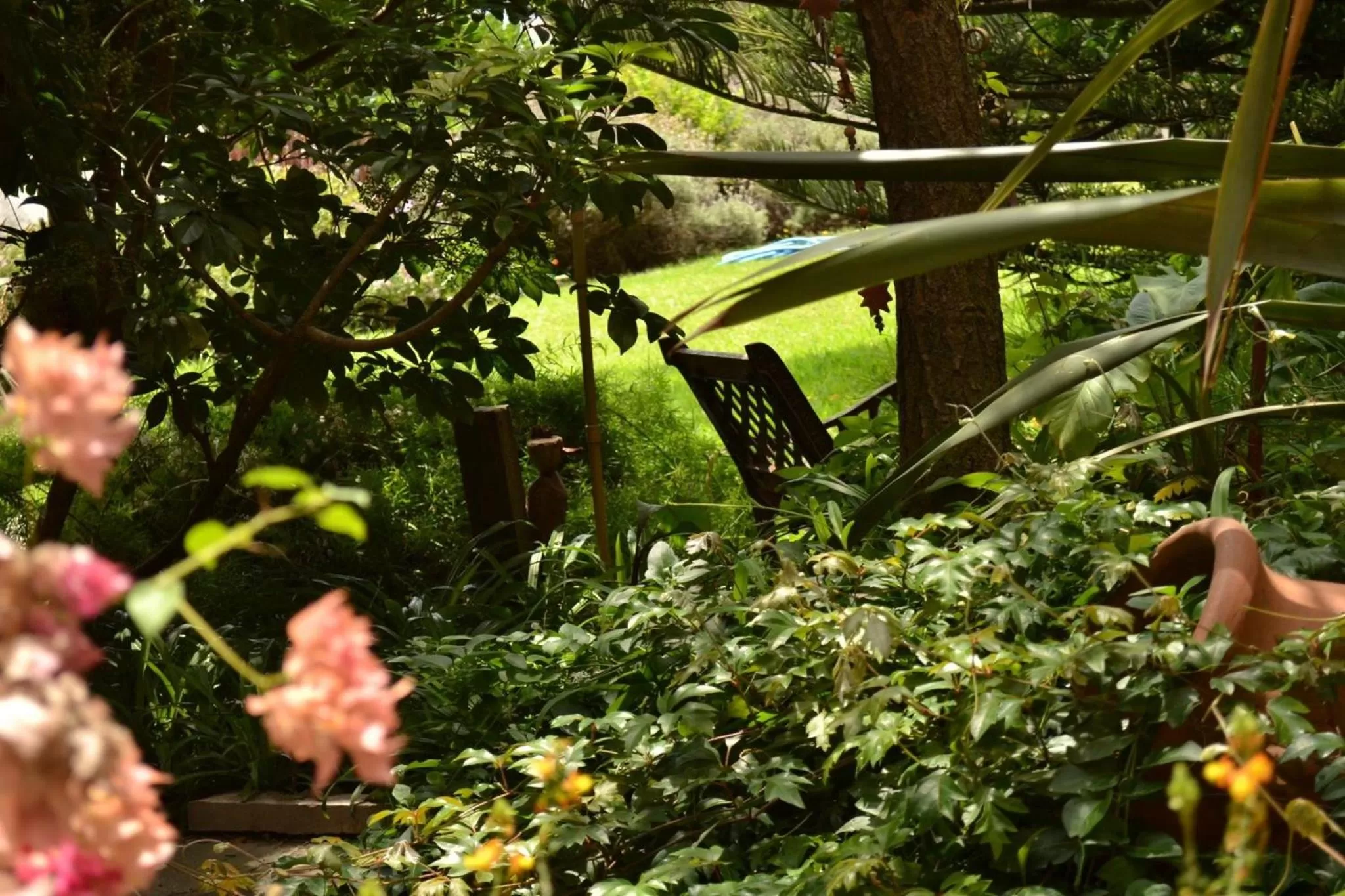 Garden in Costanera Mar Hotel & Suites