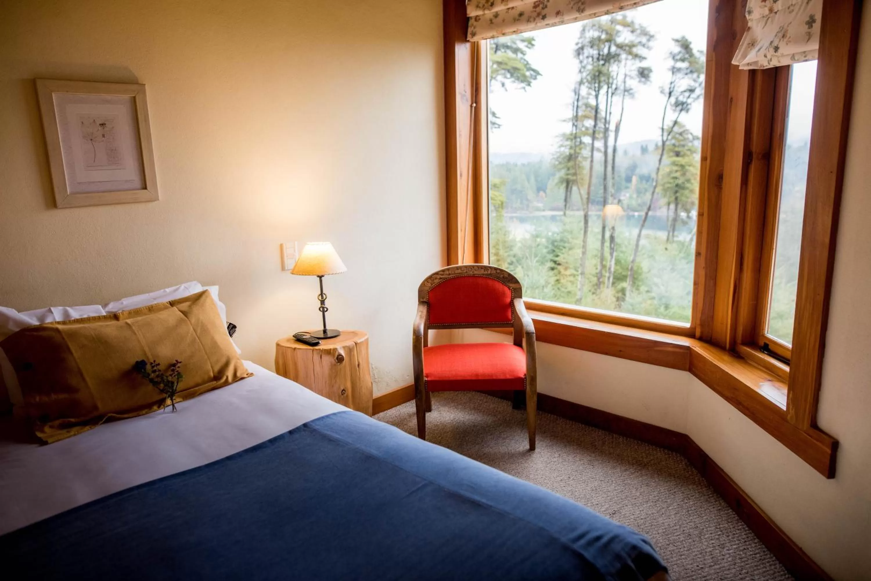 Bed in Amigos del Bosque