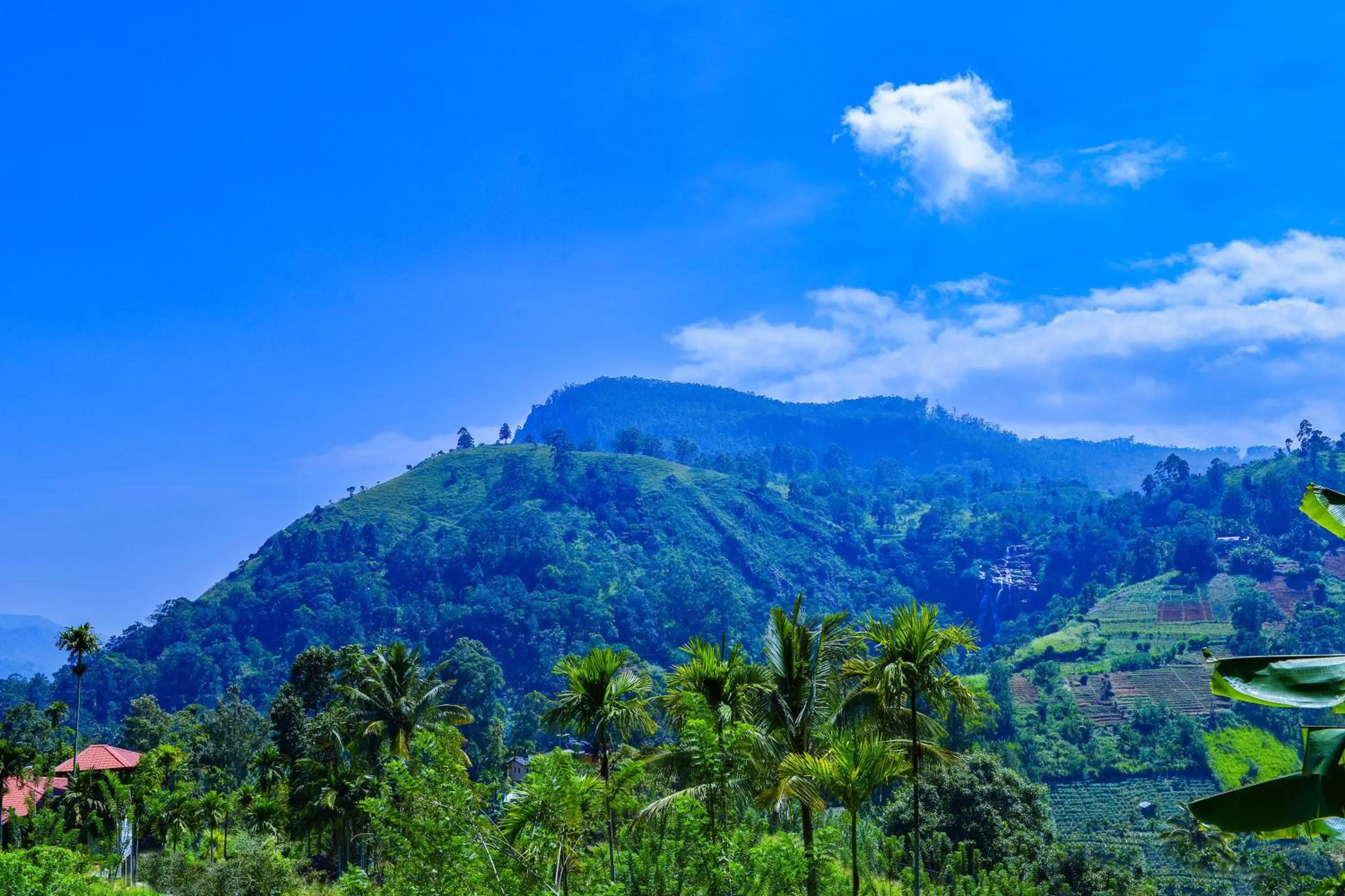 Mountain view in Dimuthu Home Stay