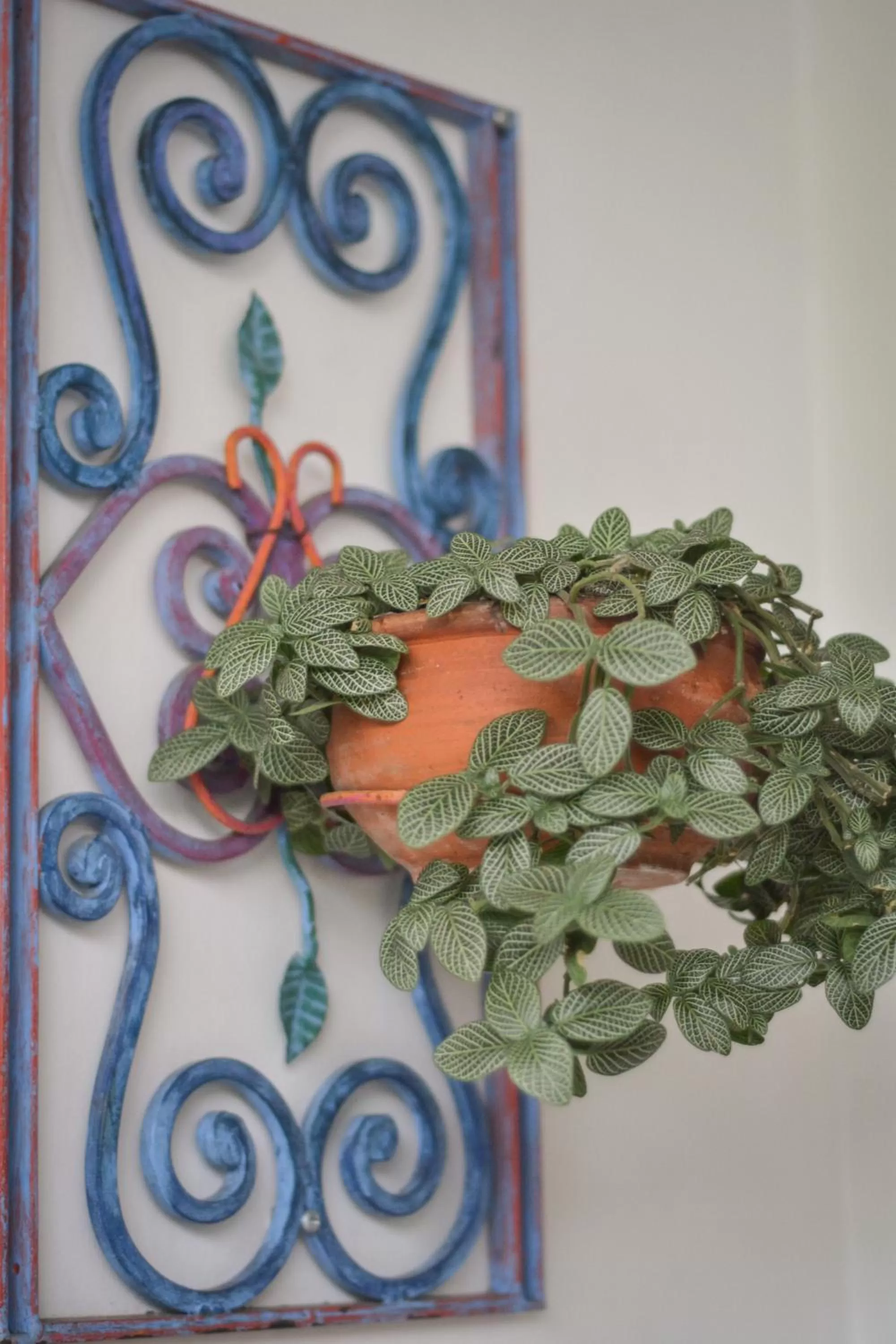 Area and facilities, Food in Casa Hotel Jardin Azul