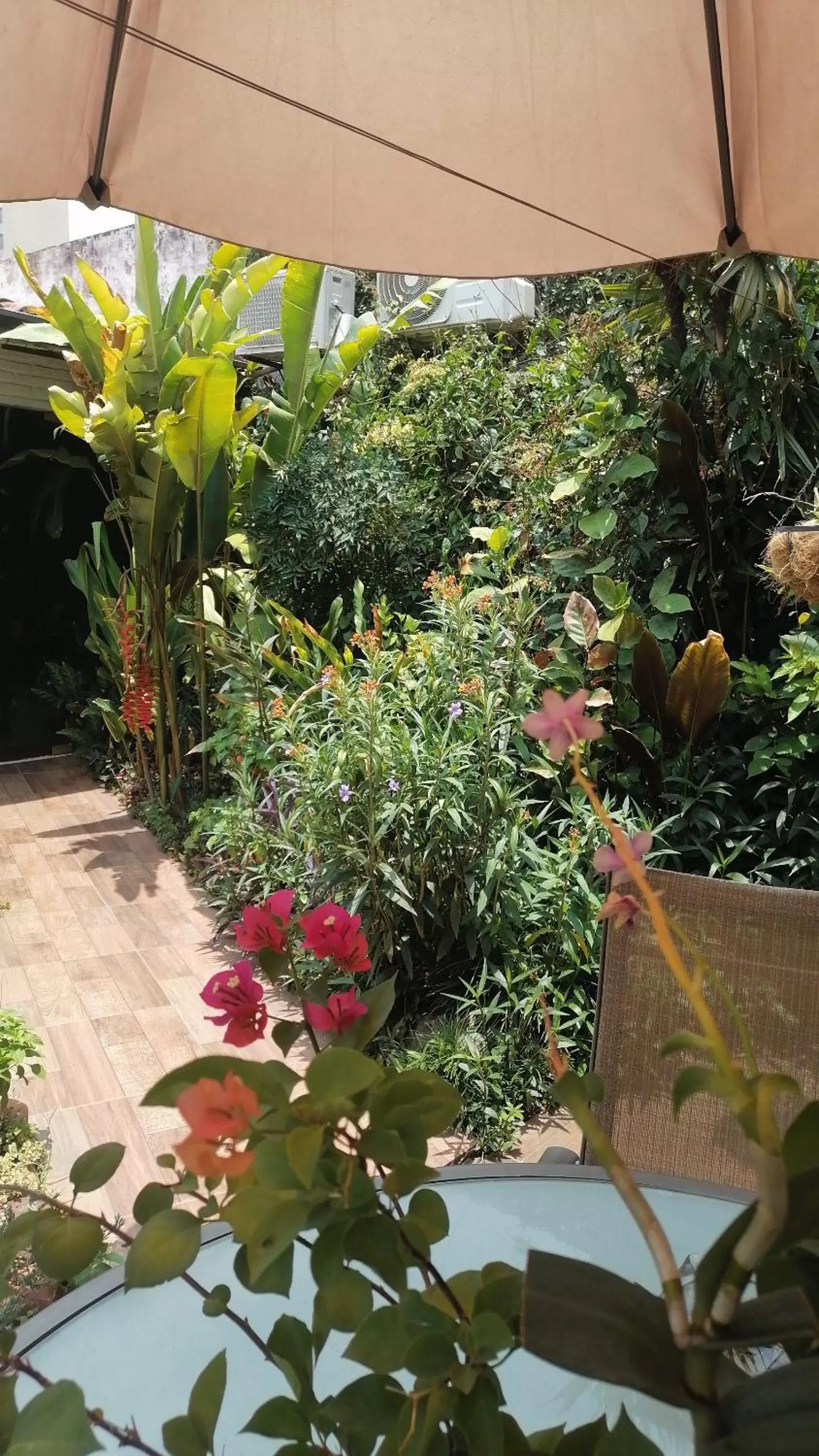 Garden, Swimming Pool in Granados B&B