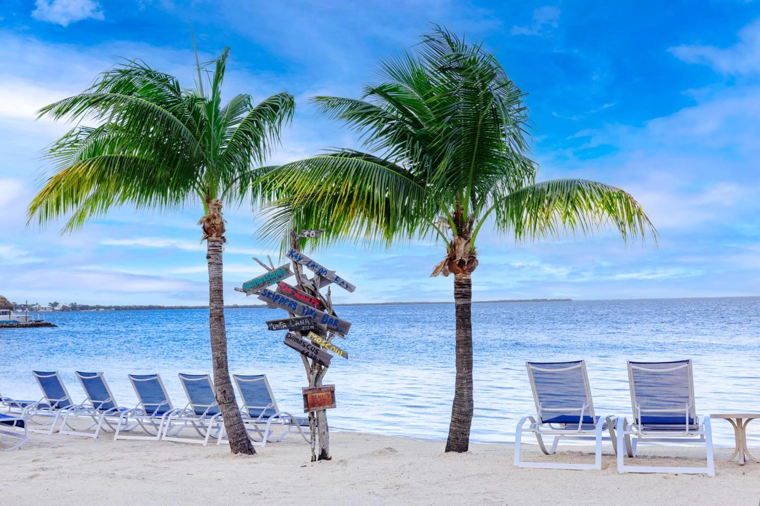 Beach in Reefhouse Resort and Marina