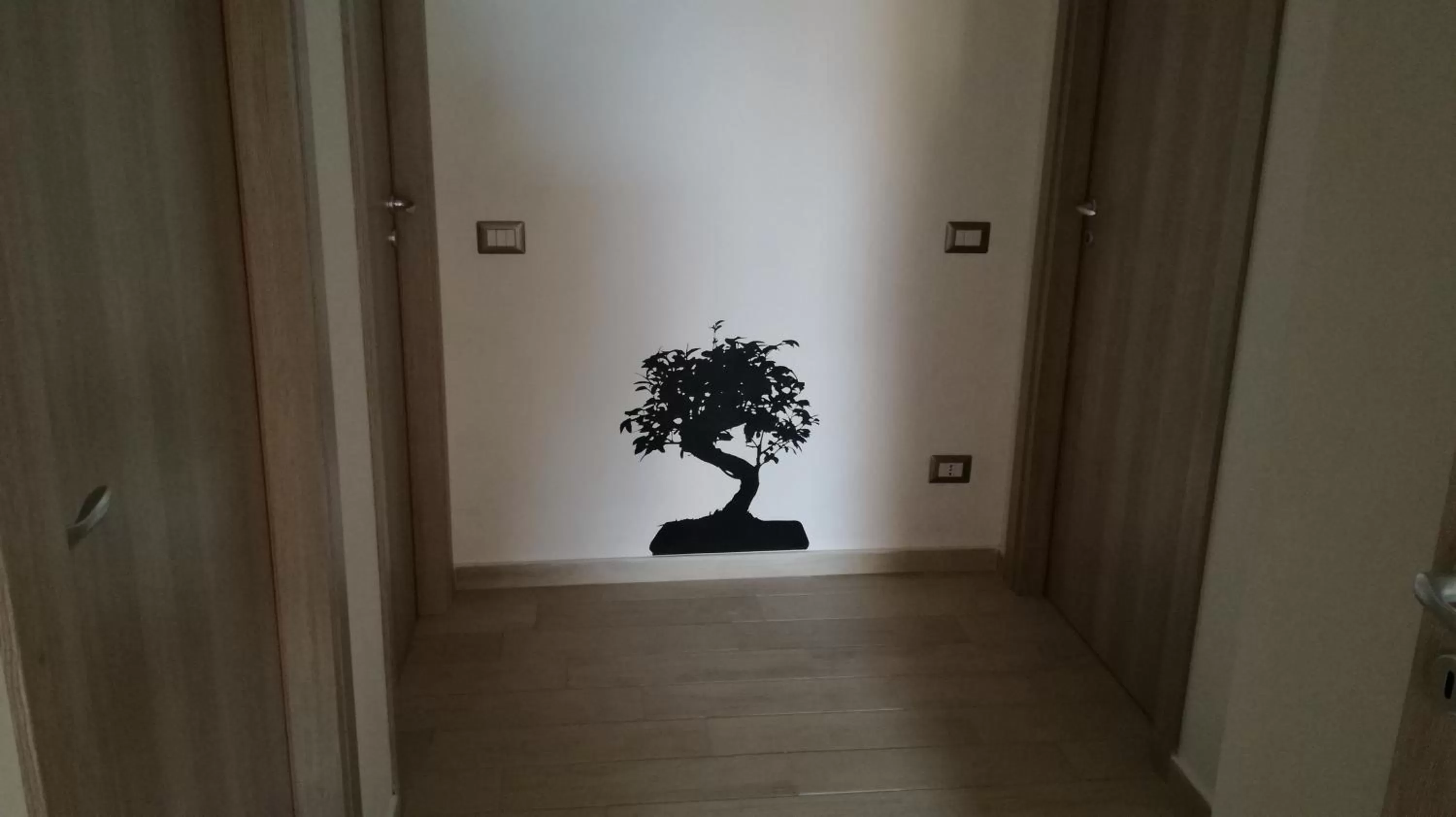 Area and facilities in Bonsai Bed & Breakfast