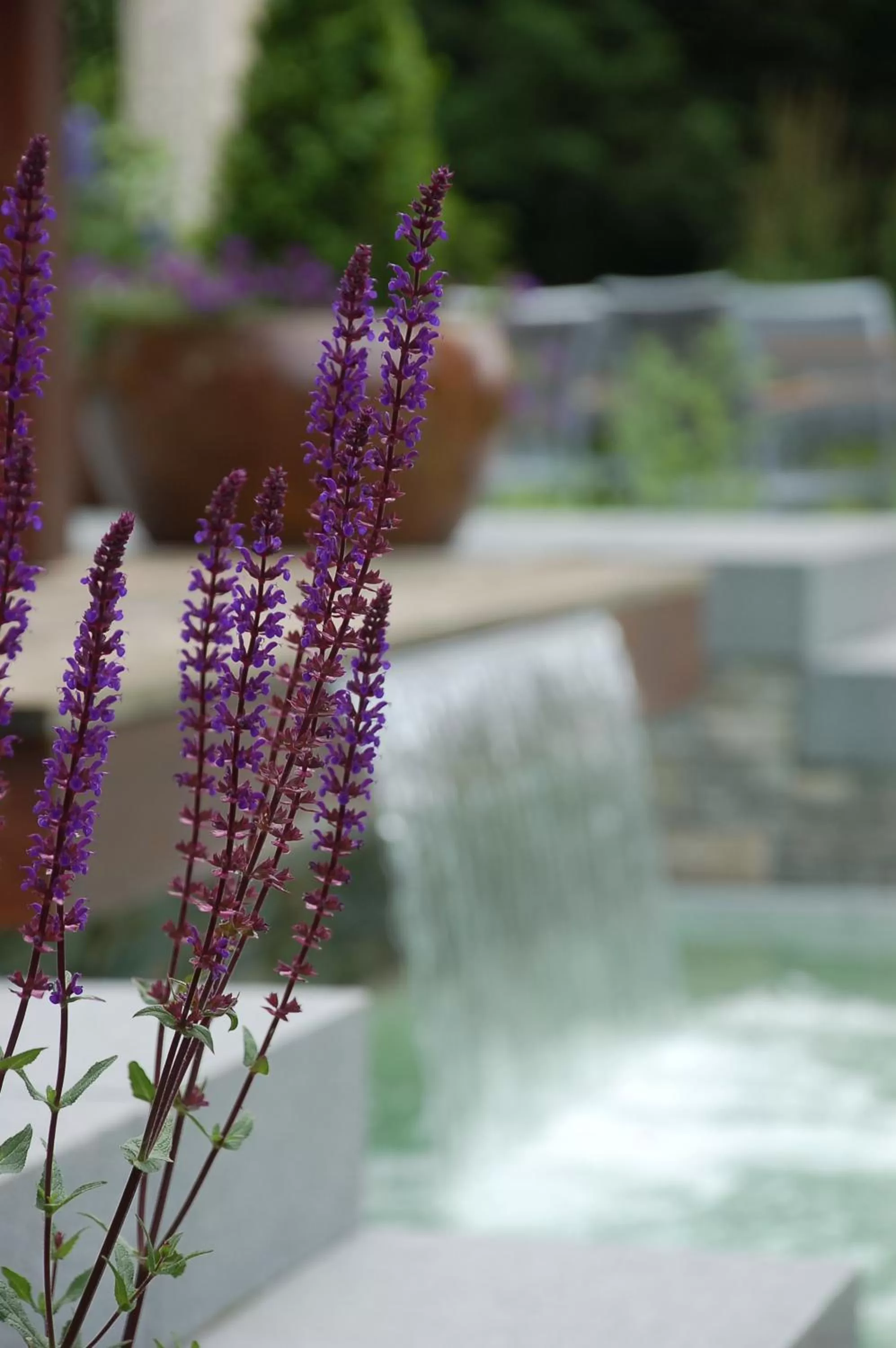 Garden in Ferienhotel Haus Becker