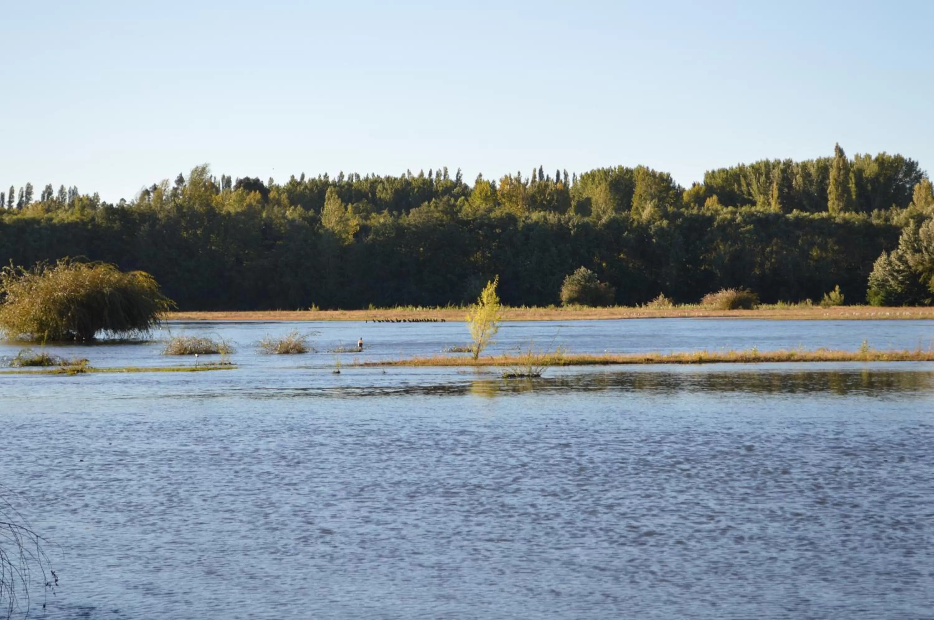 Coyunche Cabañas y Camping Laja & San Rosendo