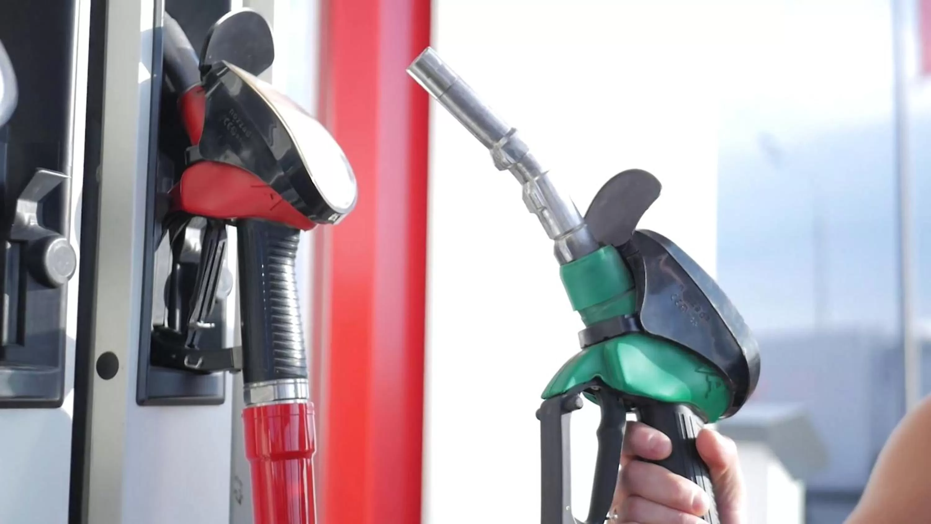 Decorative detail in Holiday Inn Express Tampa North Telecom Park by IHG