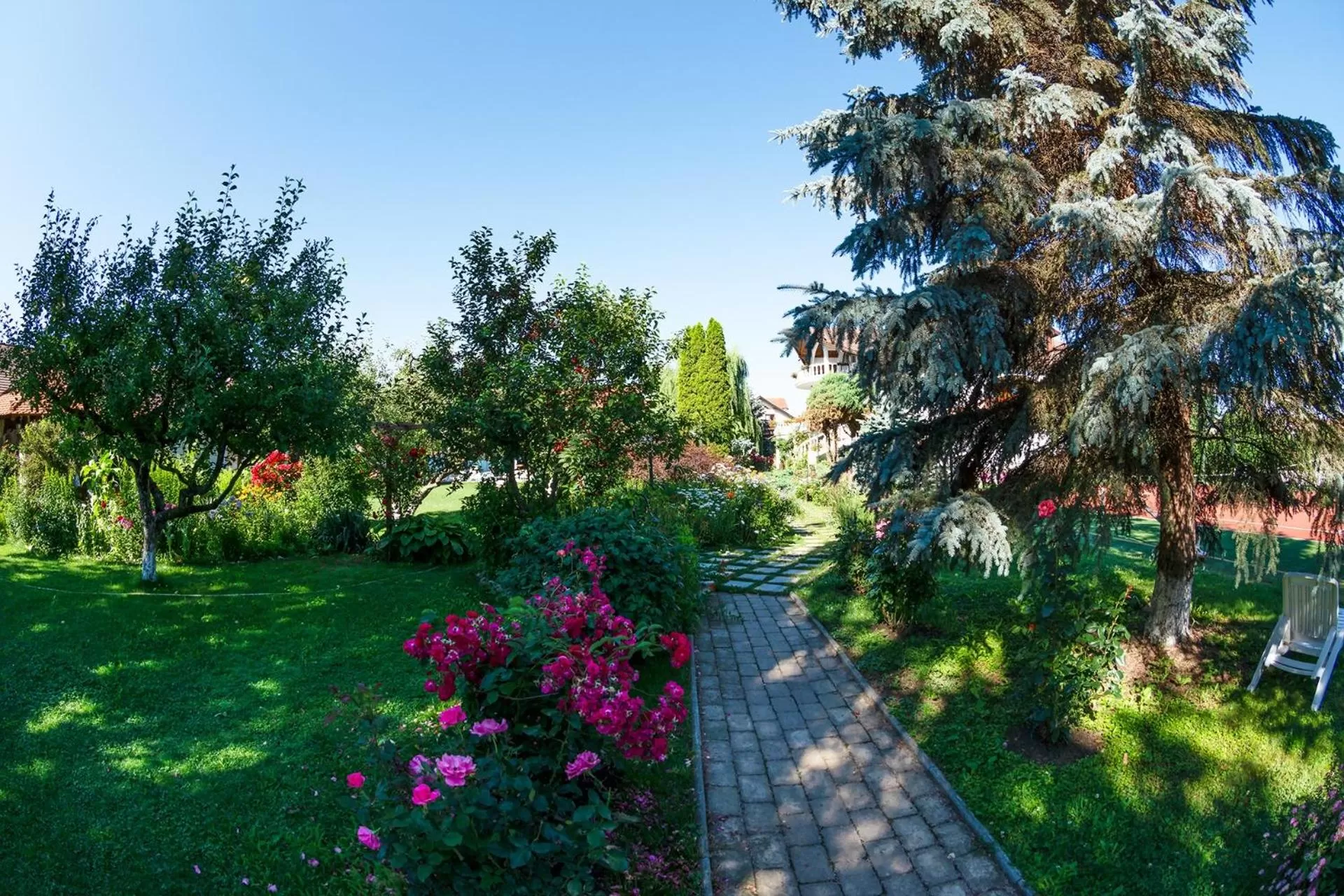 Garden in Hotel Bielmann