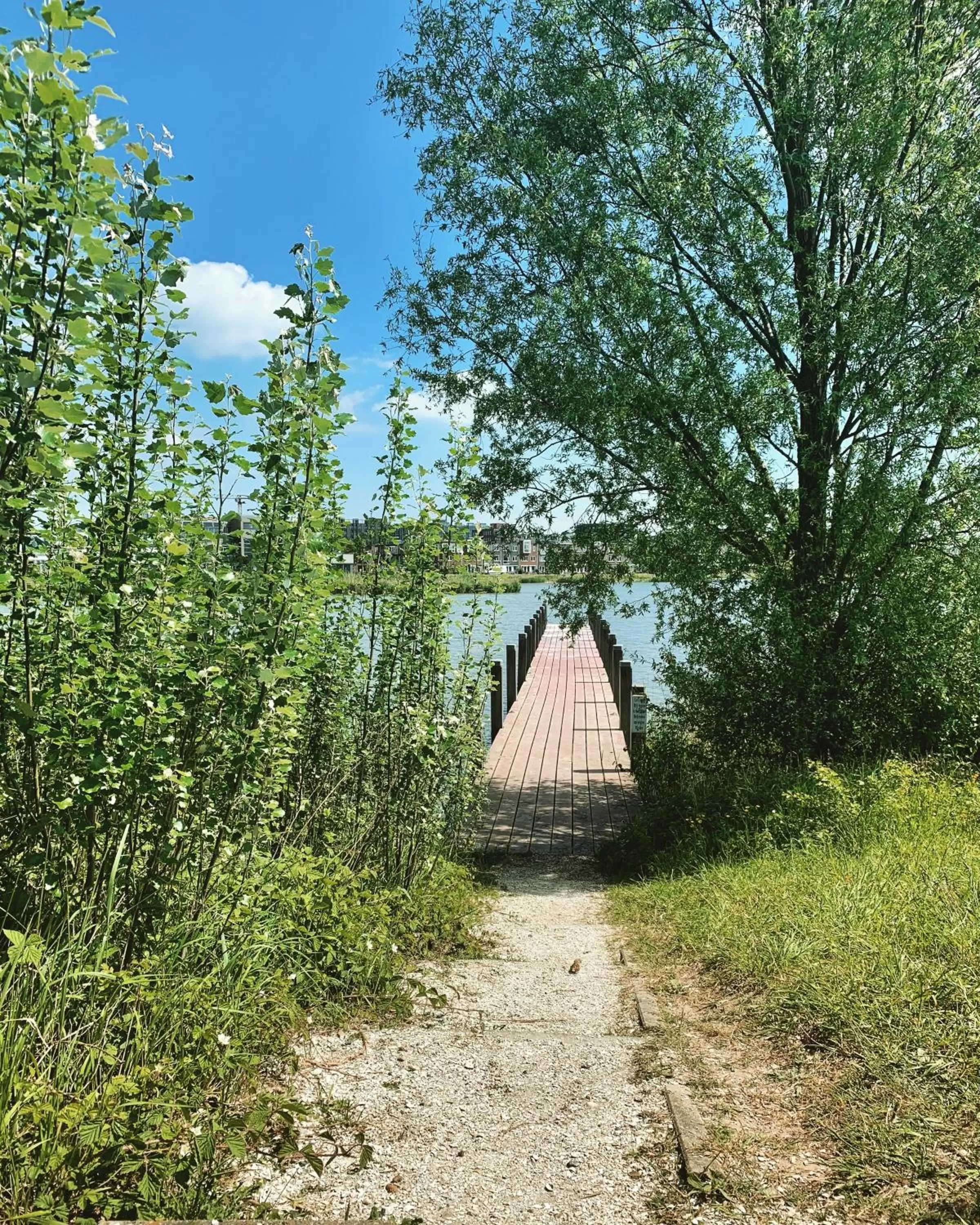 Neighbourhood in Waterfront Studio