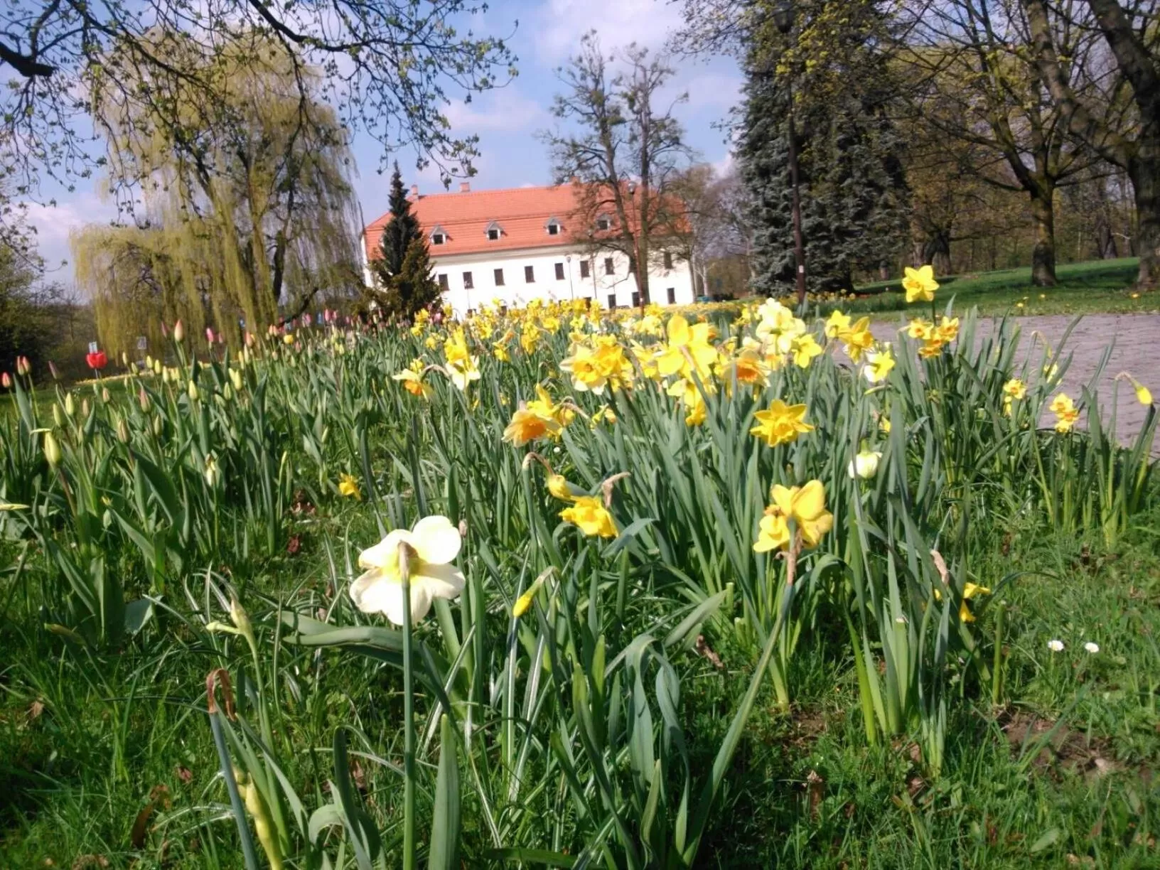 Property building, Garden in Zámek Havířov