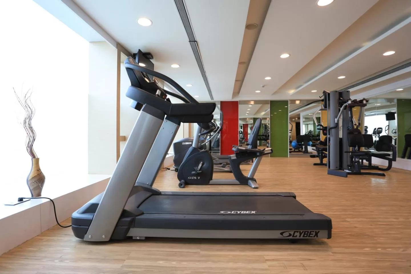Fitness centre/facilities in Radisson Udaipur