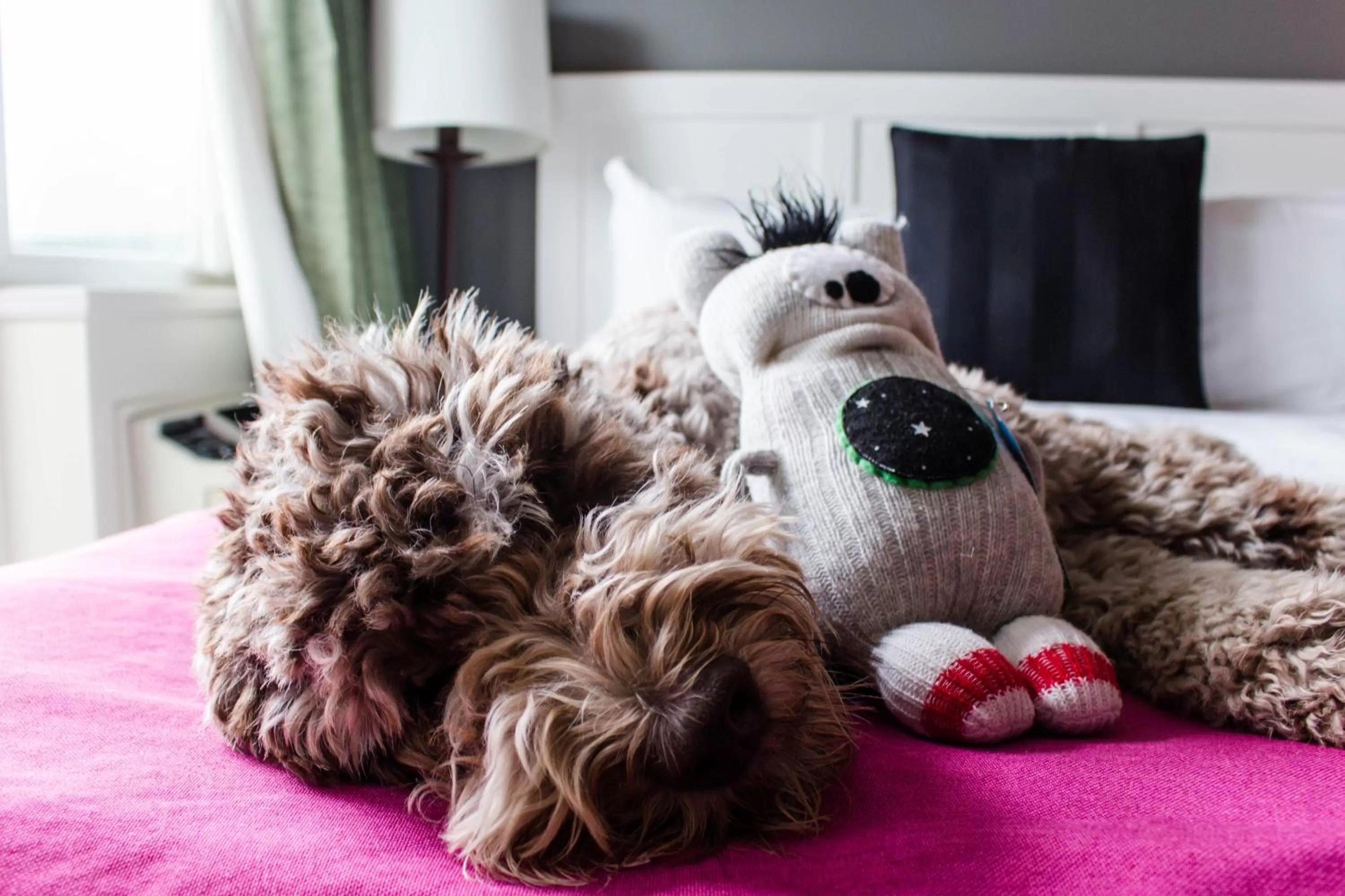 Bed in Summit Lodge Boutique Hotel by Paradox