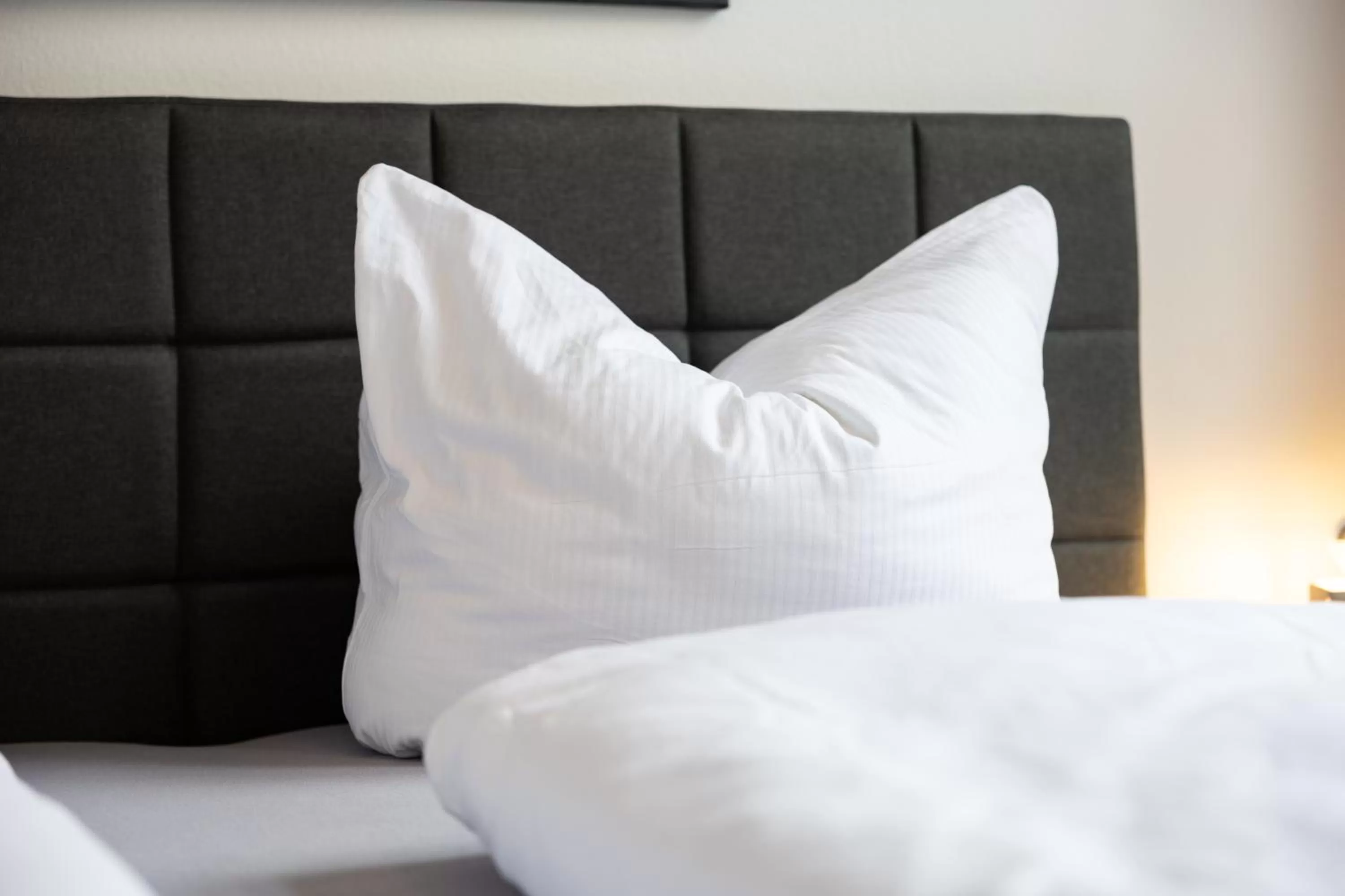 Bed in Ko-Living Space an der Oper - Street Art Design Apartments