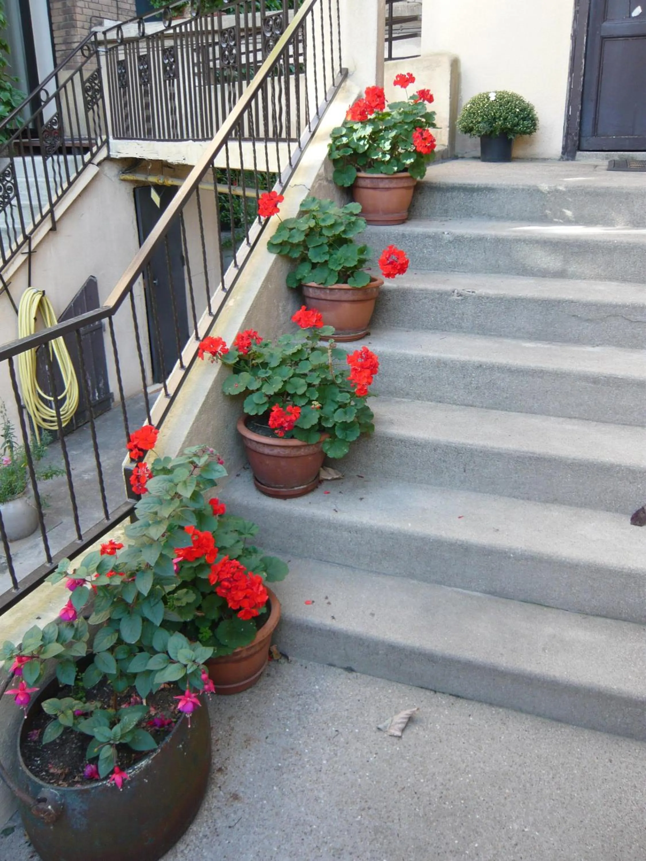 Area and facilities in Cit'Hotel Aéro-Hotel