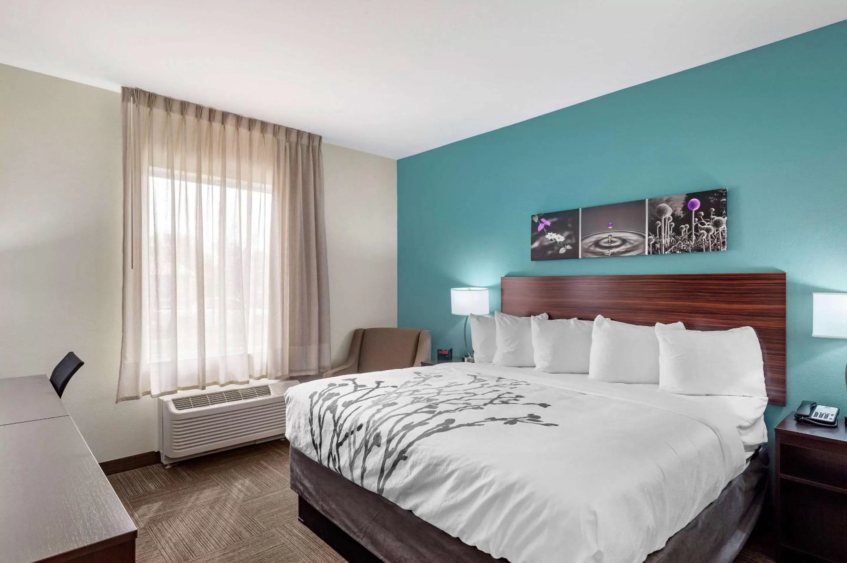 Photo of the whole room, Bed in Sleep Inn Lancaster Dallas South