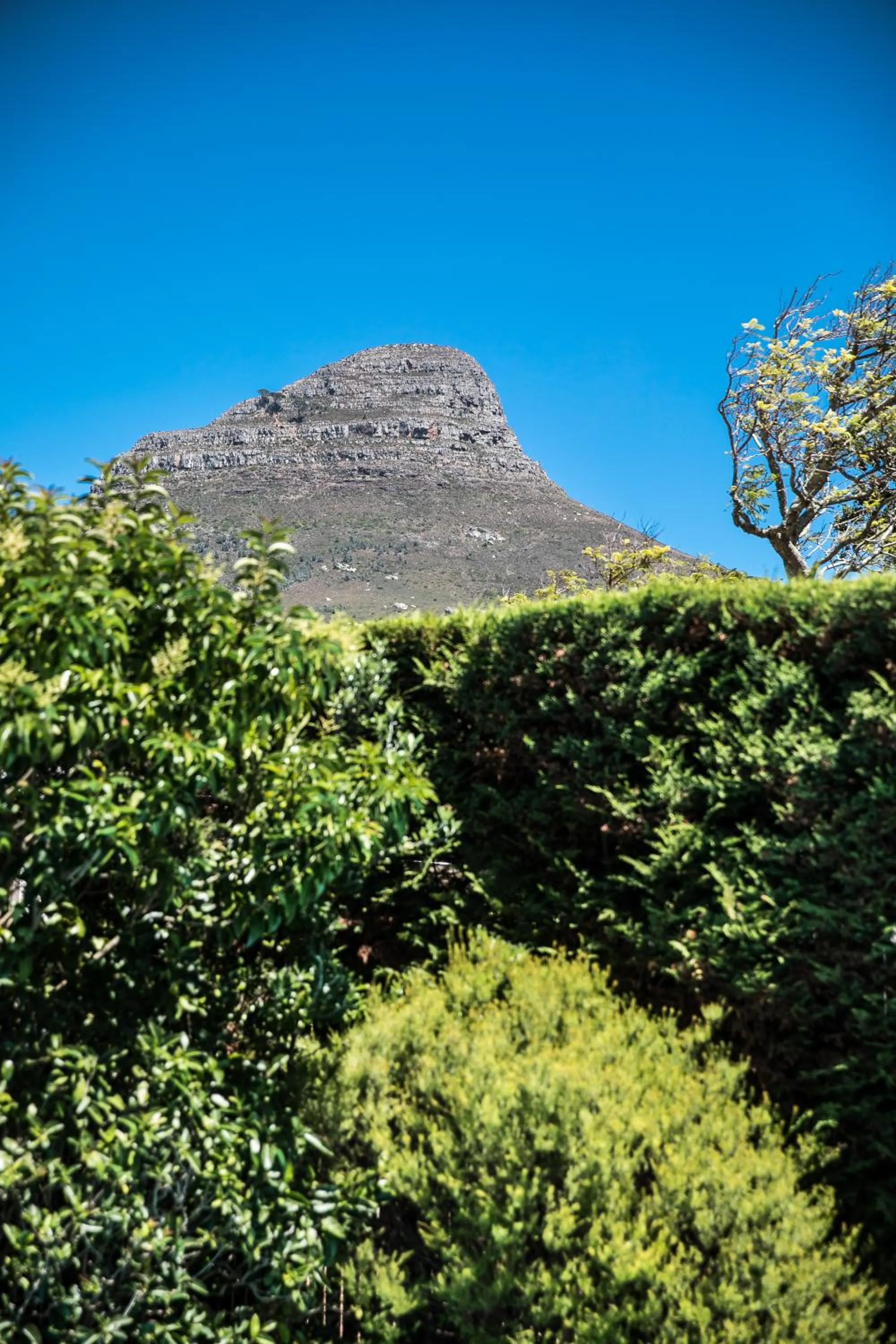 Mountain view in 5 Camp Street Guesthouse & Self-catering