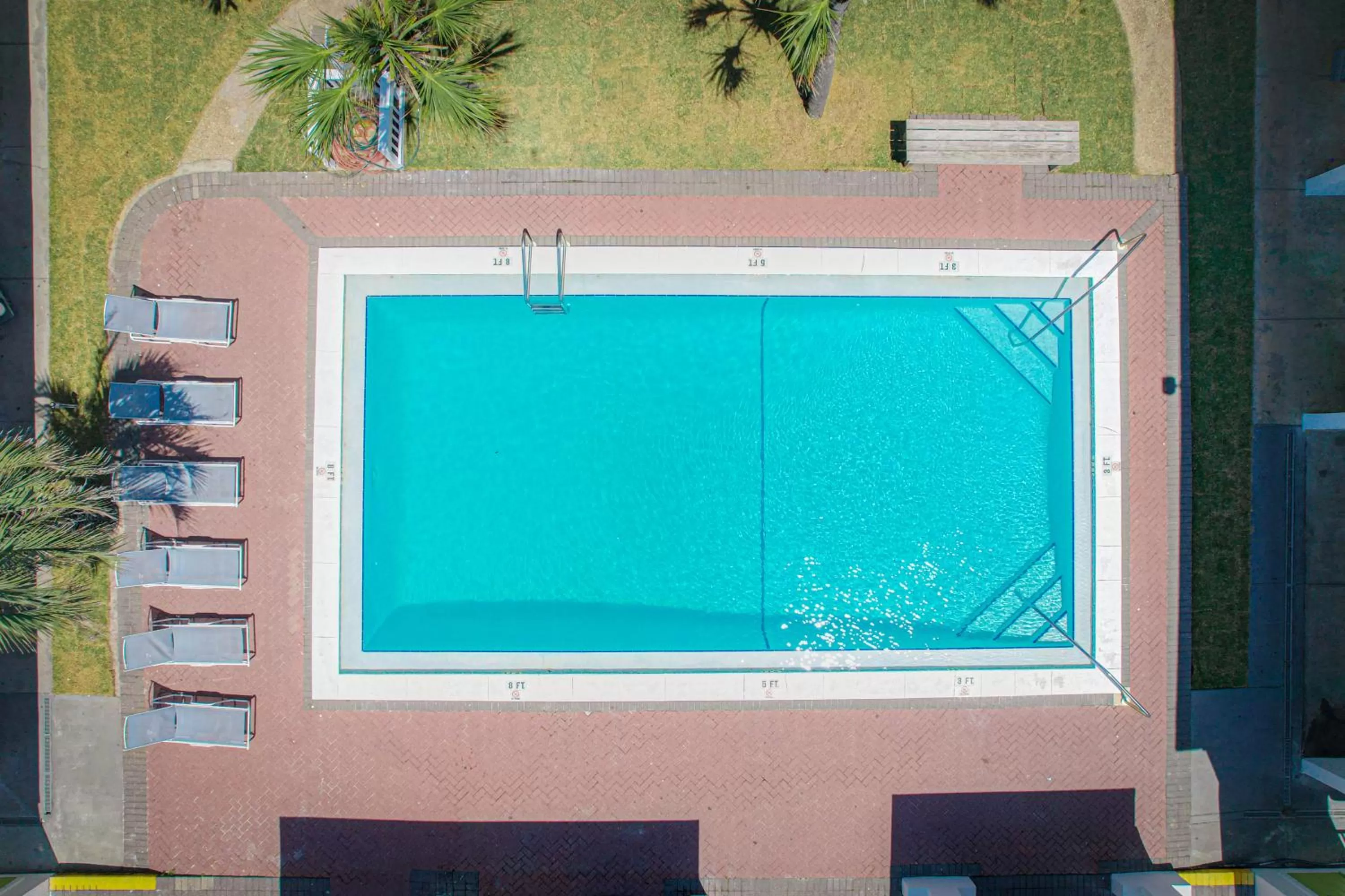 Swimming pool in Flamingo Hotel & Tower