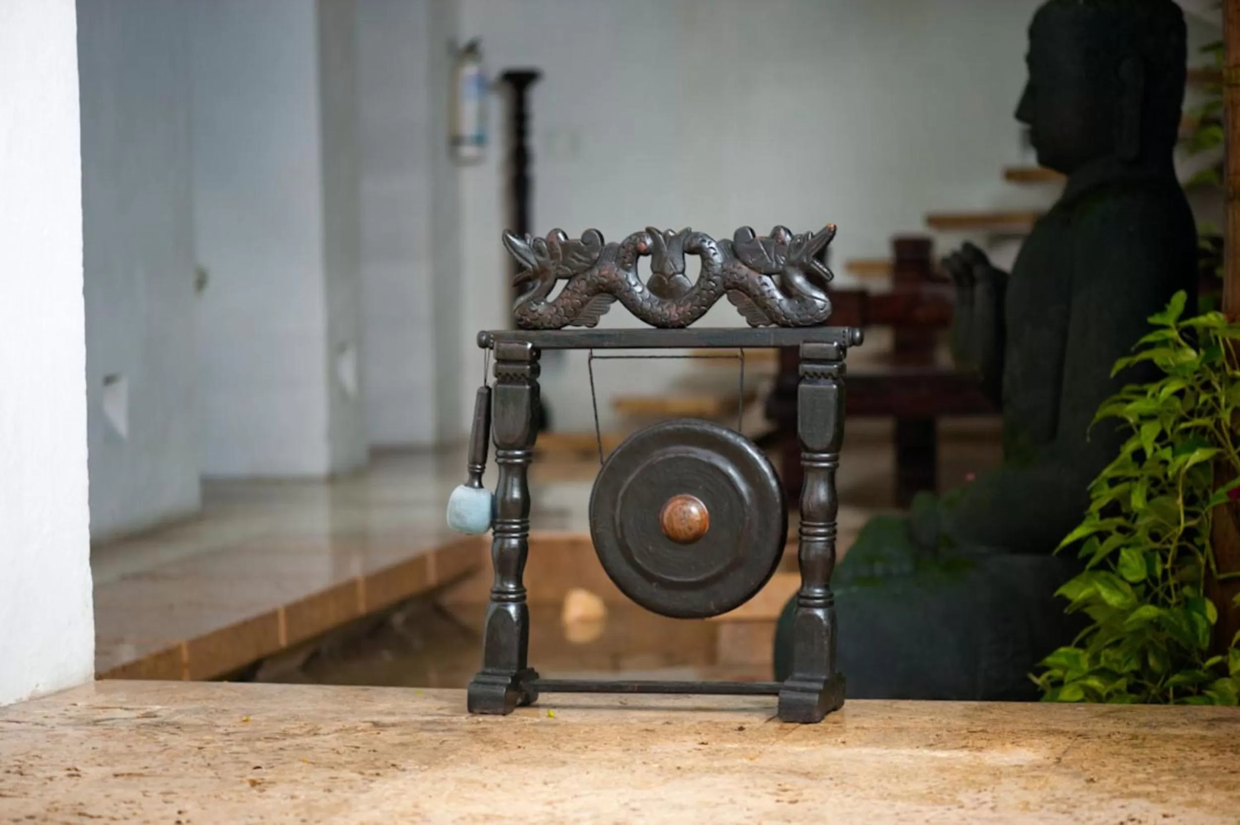 Patio in Hotel Aguamarina Boutique