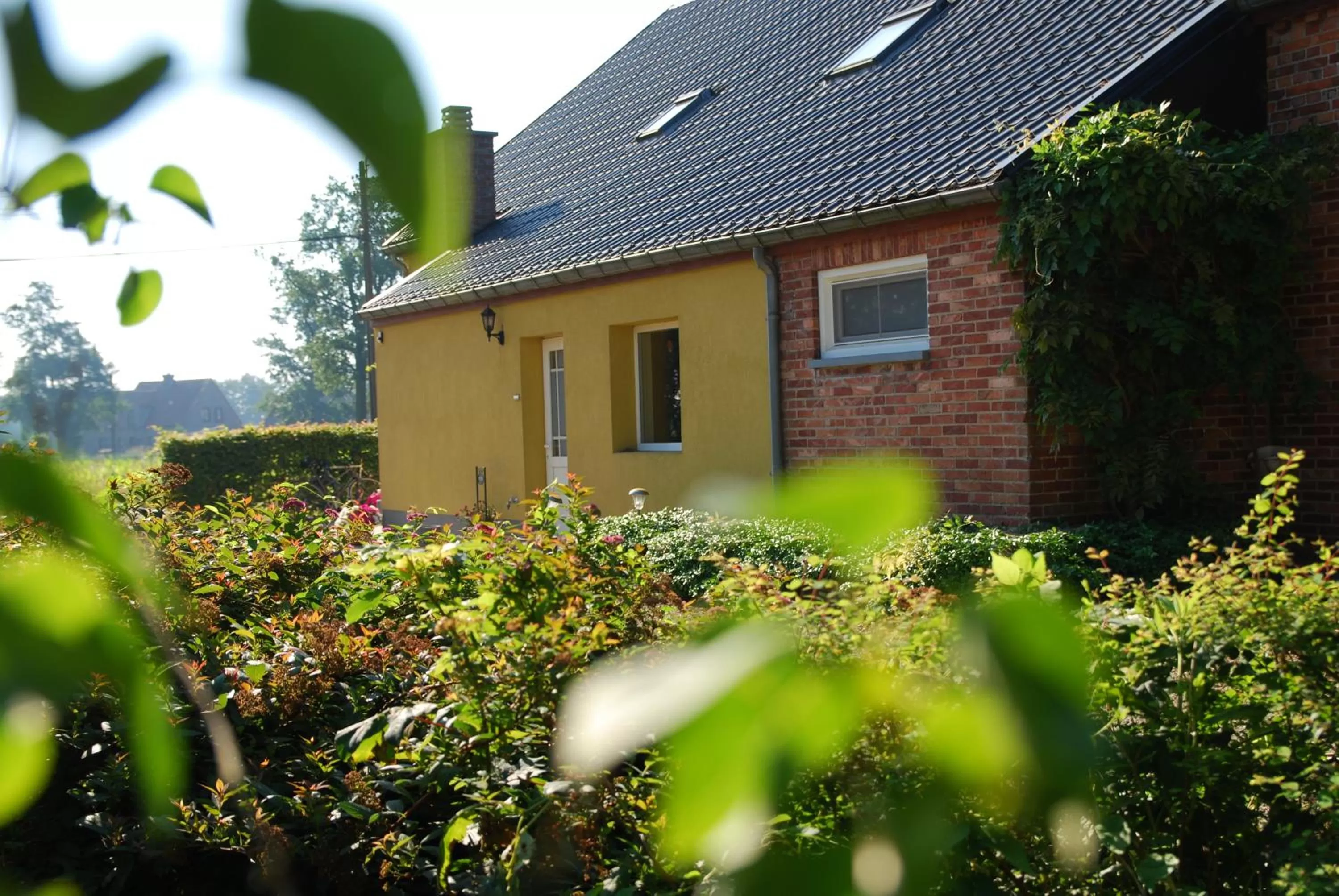 Facade/entrance, Property Building in B&B Het Uilennest