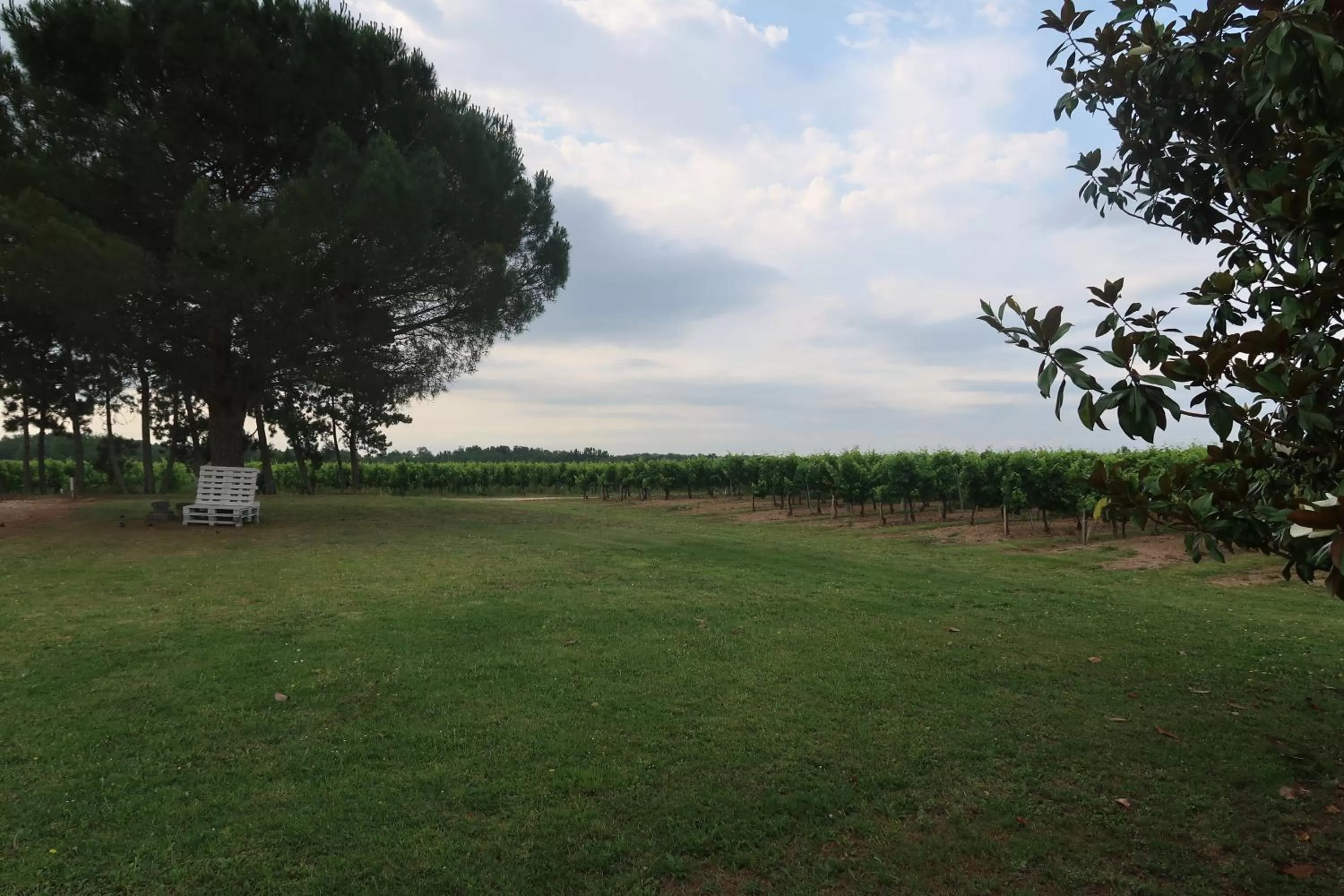View (from property/room) in l'Orangerie de La Pontête