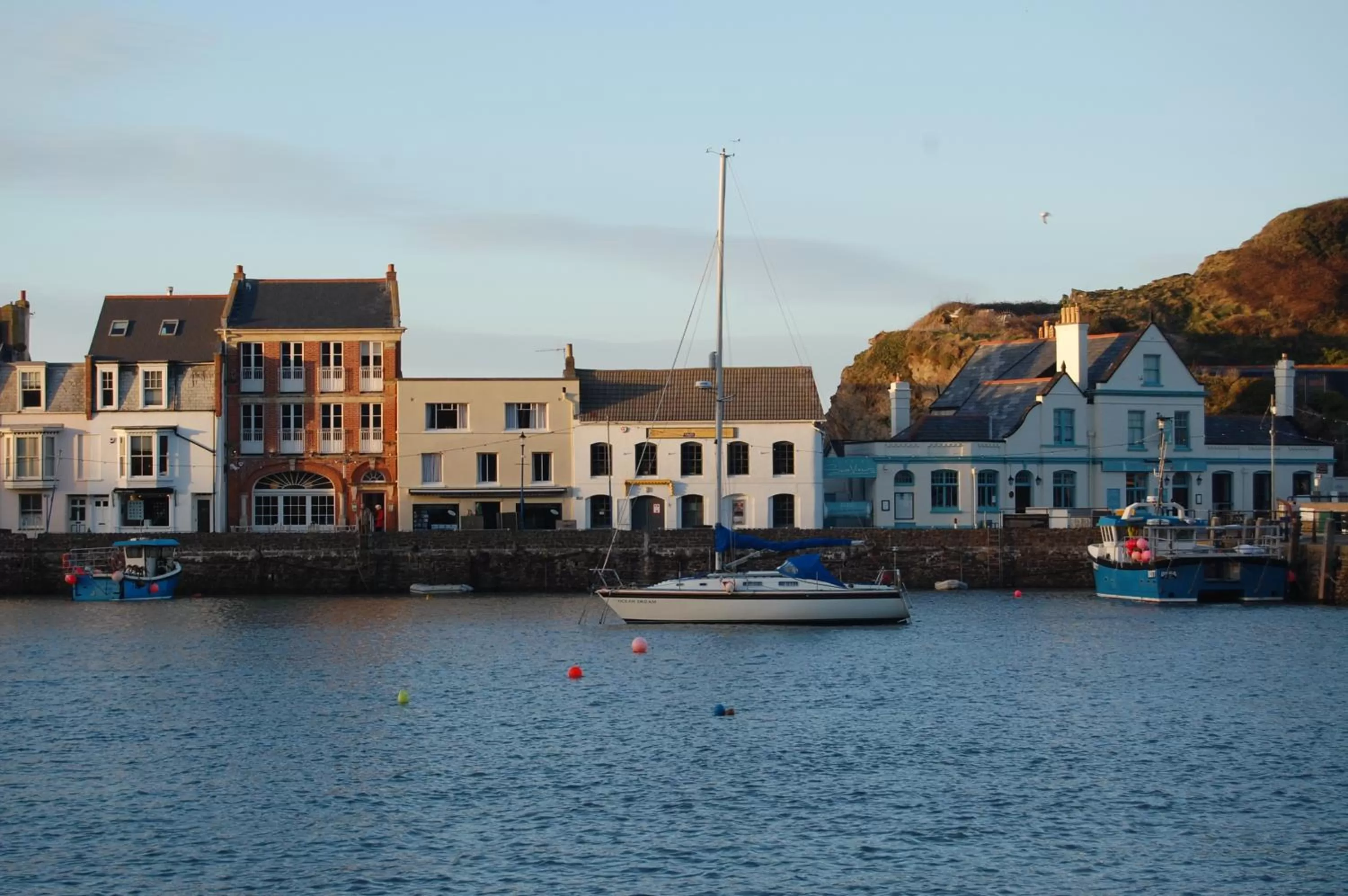 Natural landscape in The Olive Branch