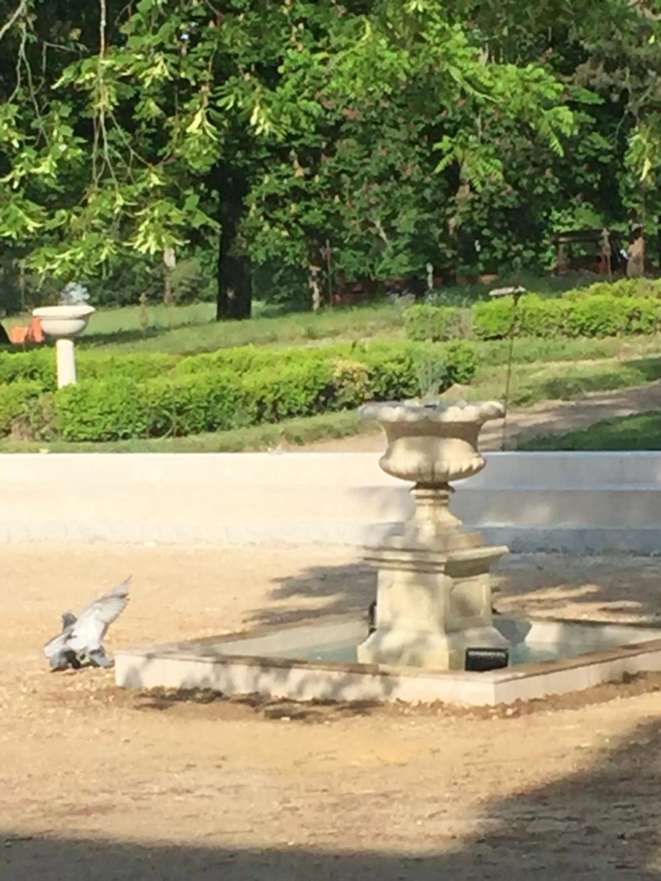 Garden in Manoir de la Rémonière