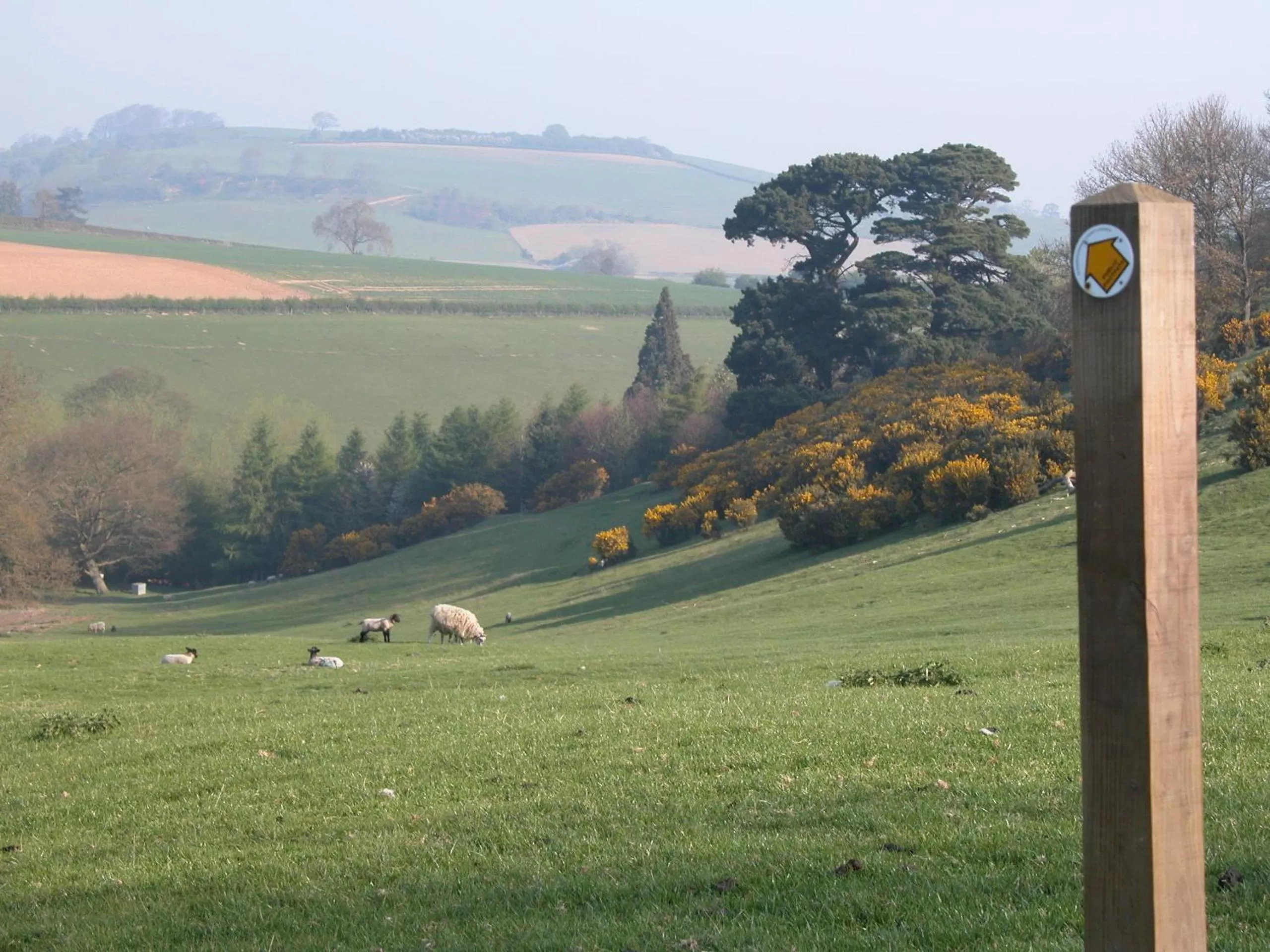 Natural landscape in Three Ways House Hotel