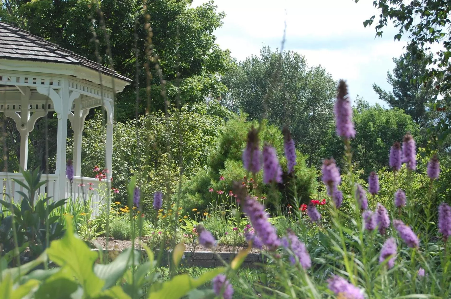 Garden in Summit Lodge