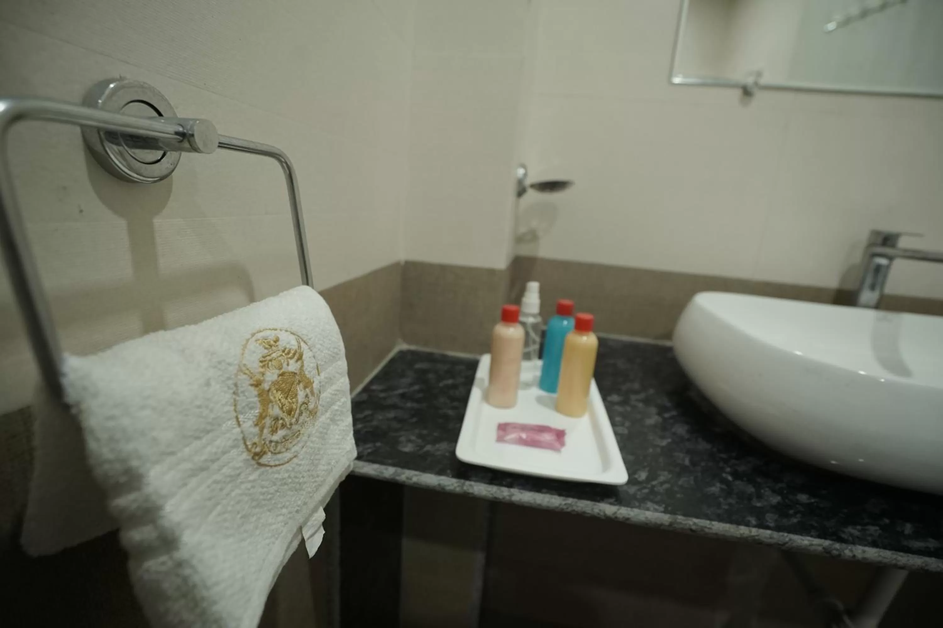 Toilet in Hotel Silver Cloud