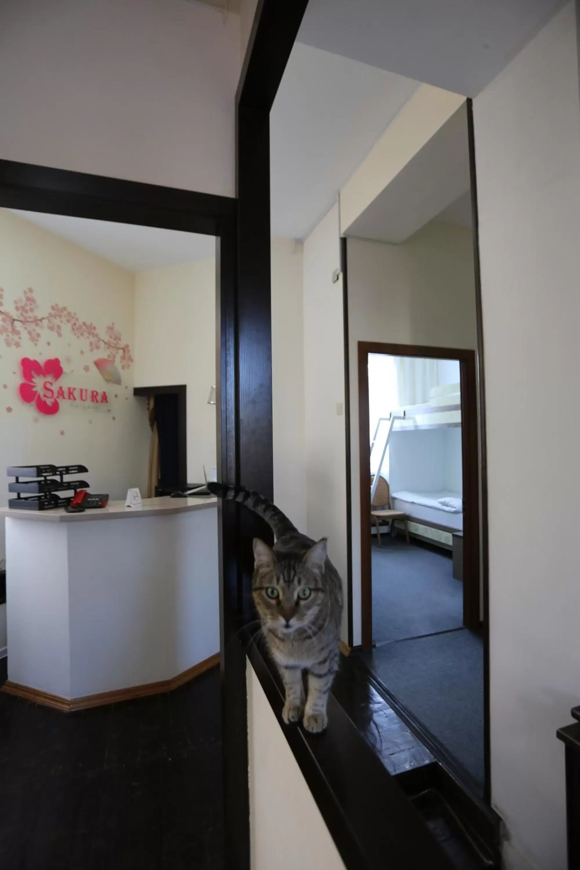 Sakura Inn Sakura Inn