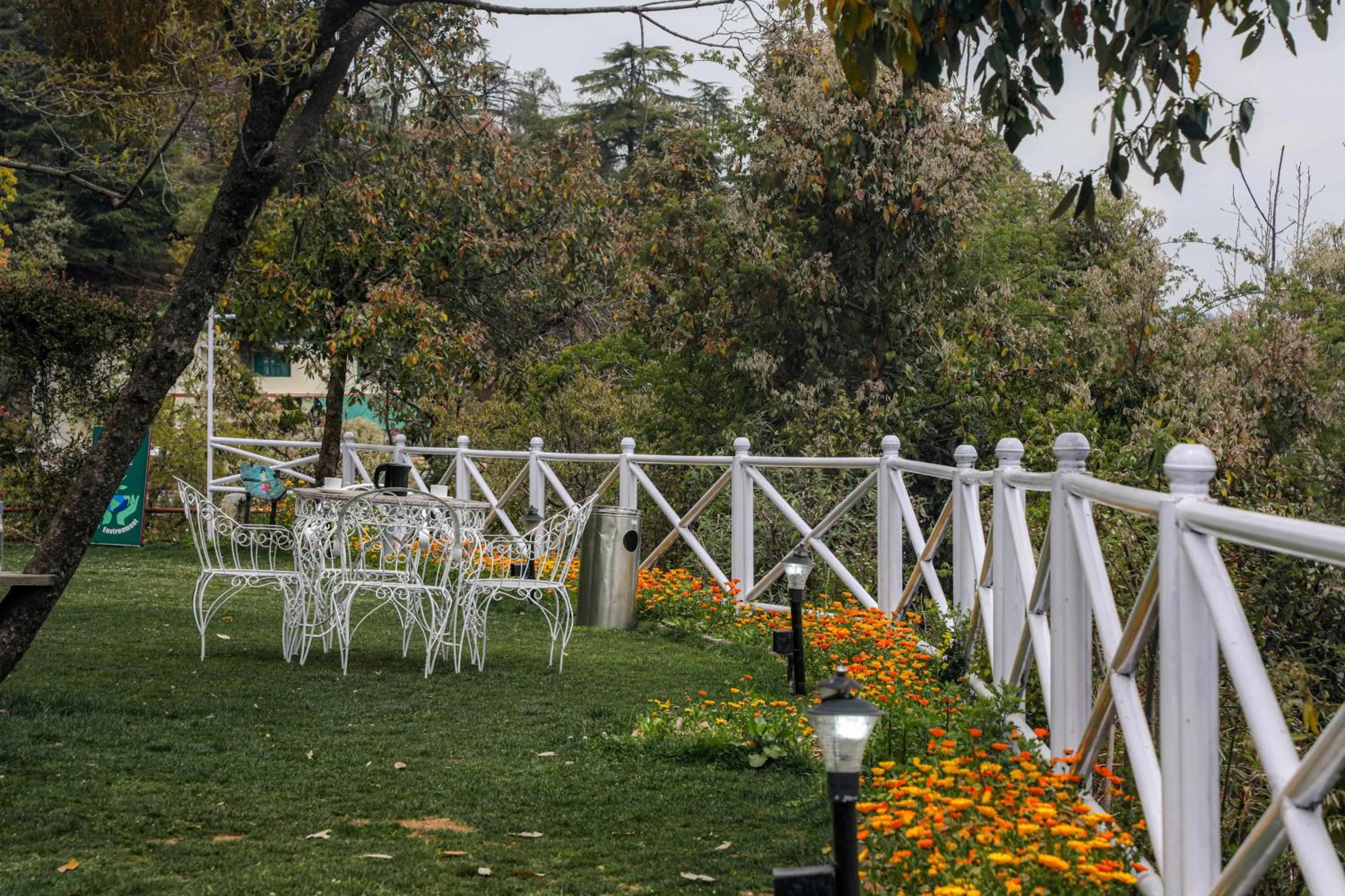 Natural landscape in The Mountain Quail