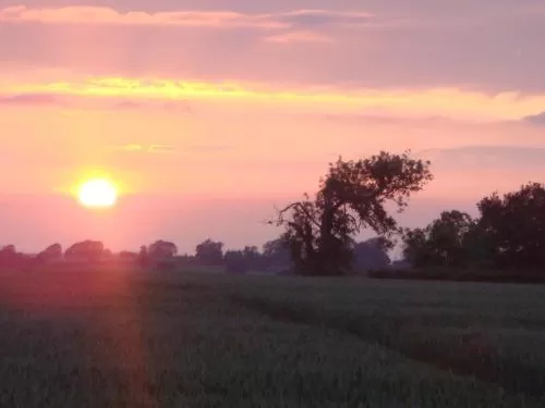 View (from property/room) in The Royal Arms Hotel Room Only